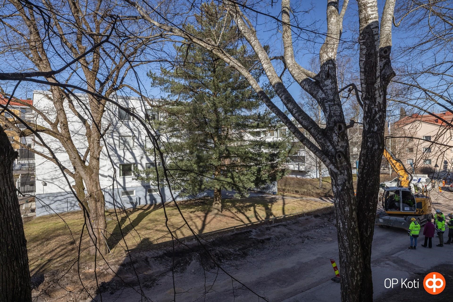 Kohdekuva 19