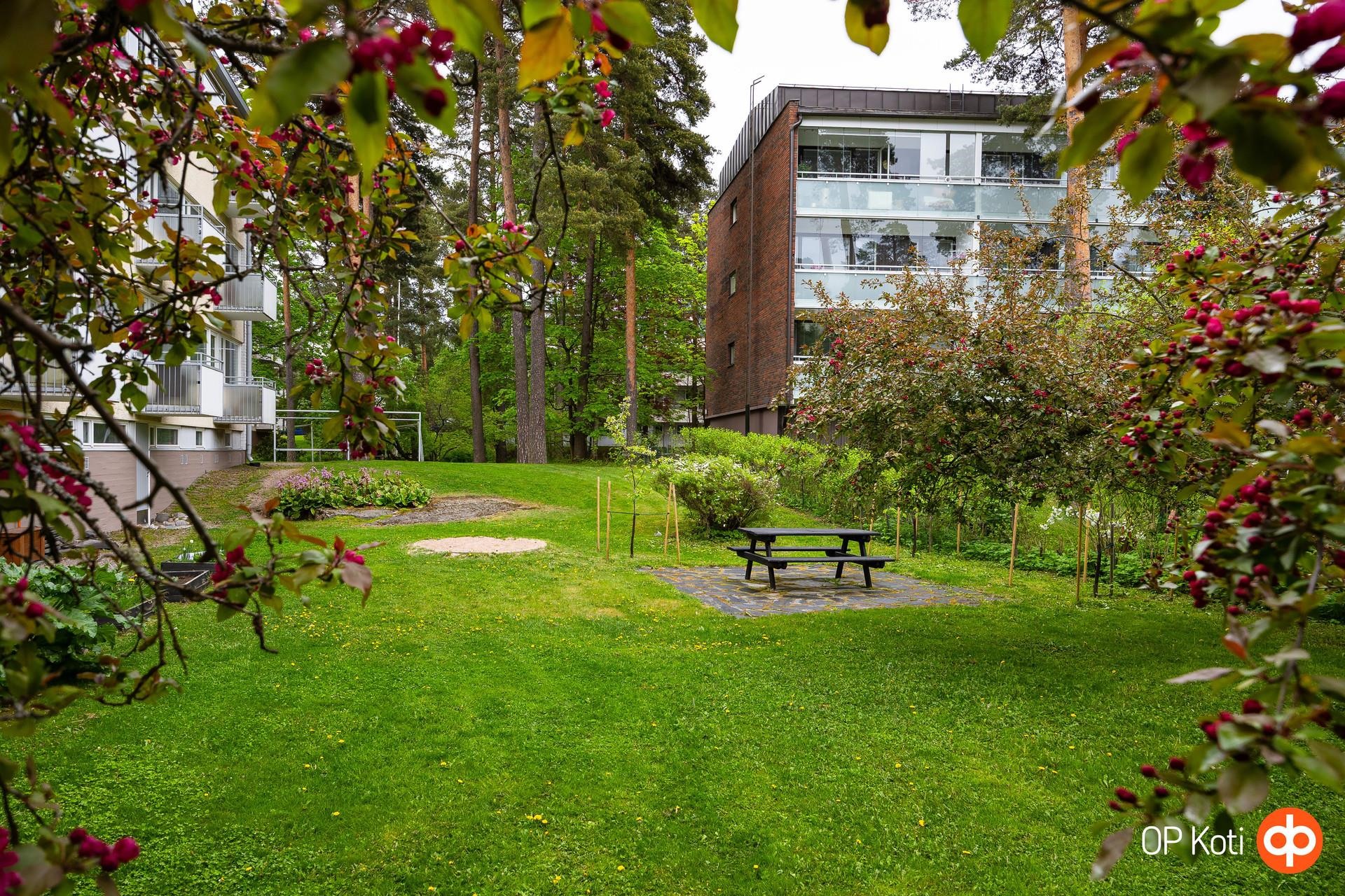 Kohdekuva 18