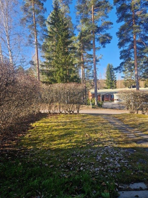 Kohdekuva 17