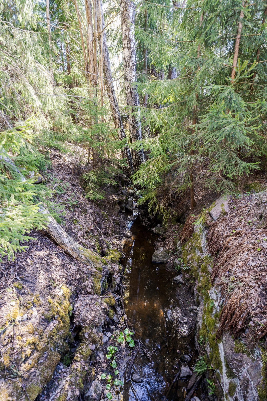 Kohdekuva 46