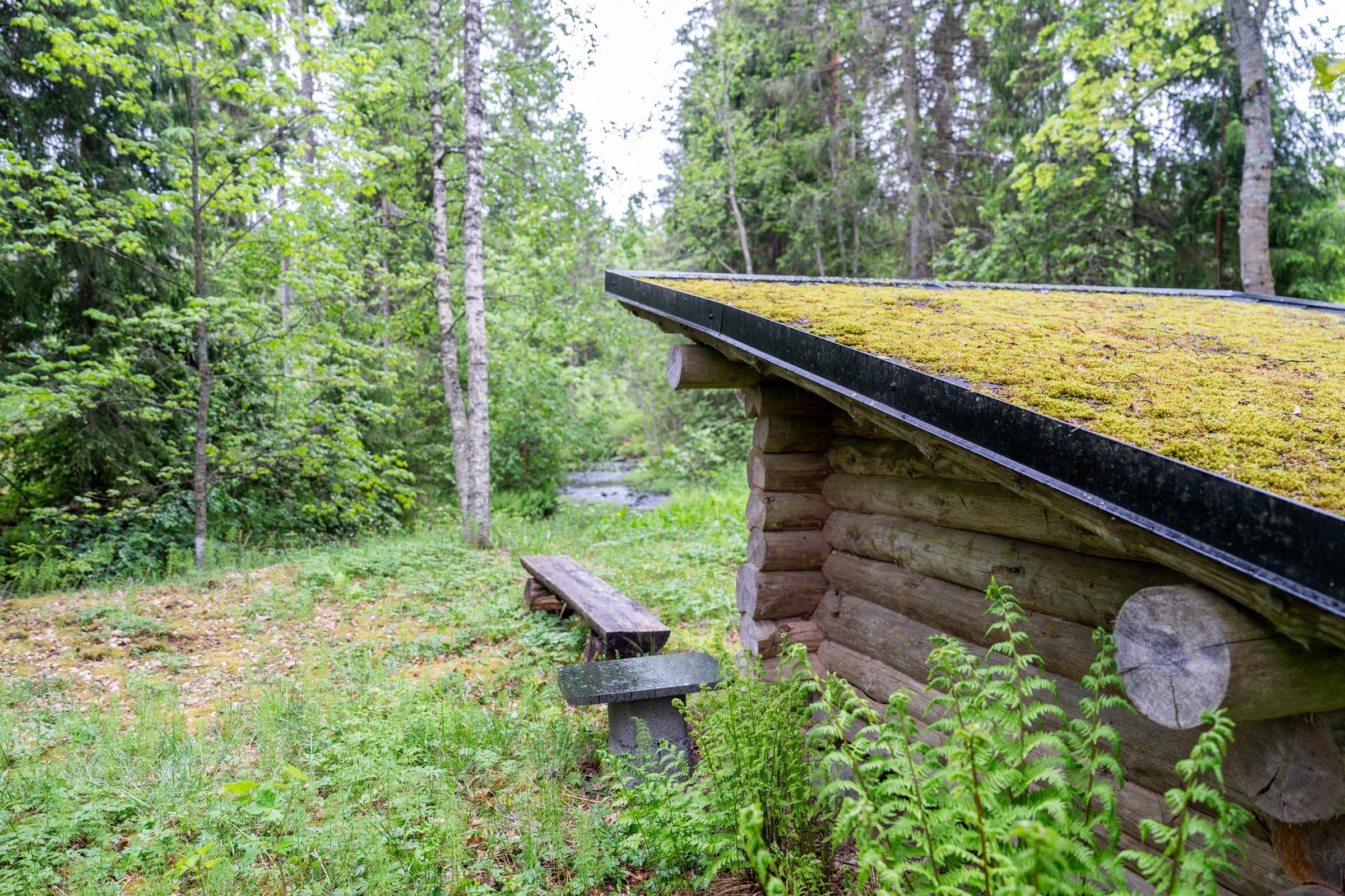 Kohdekuva 13