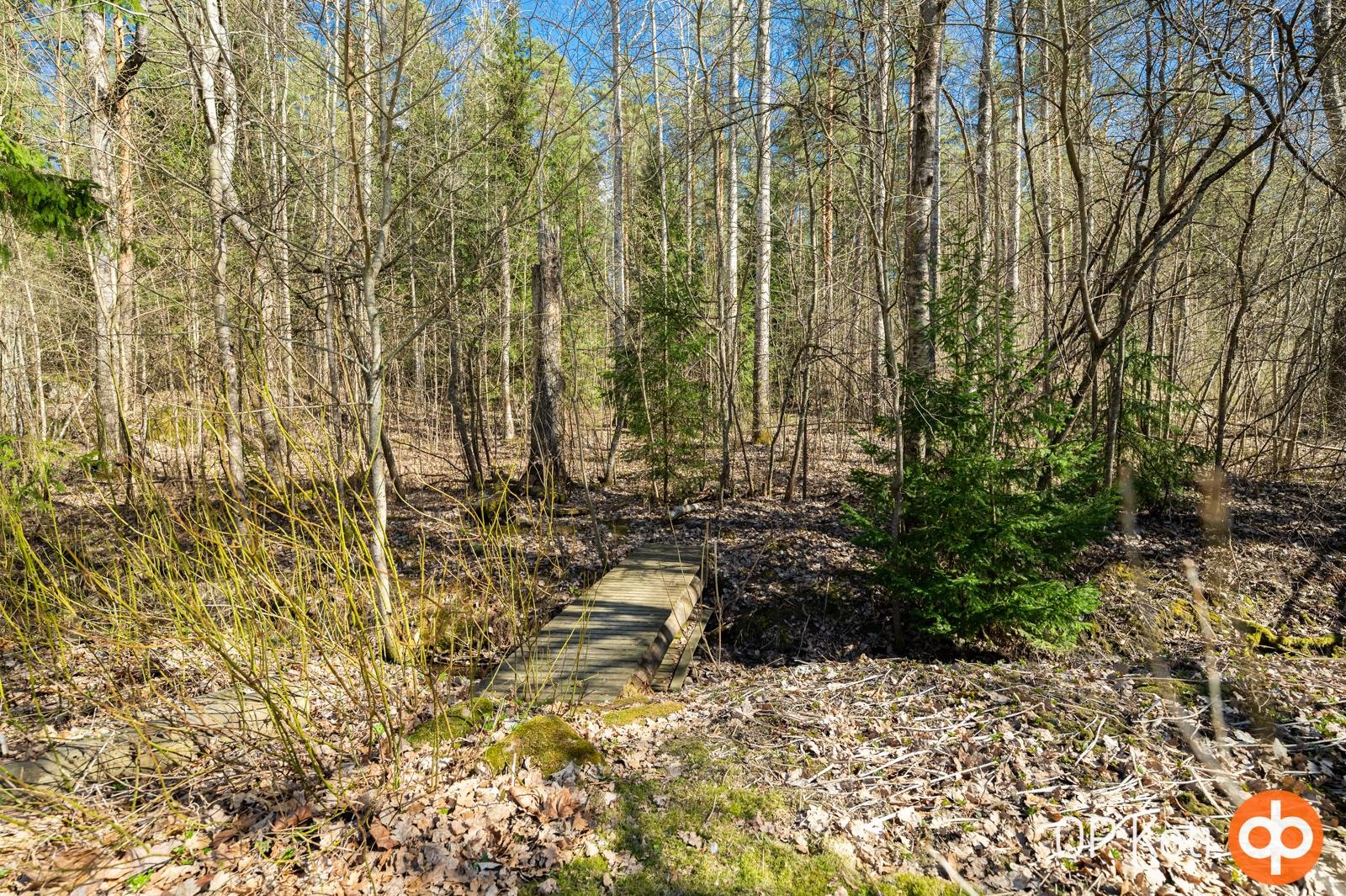 piha