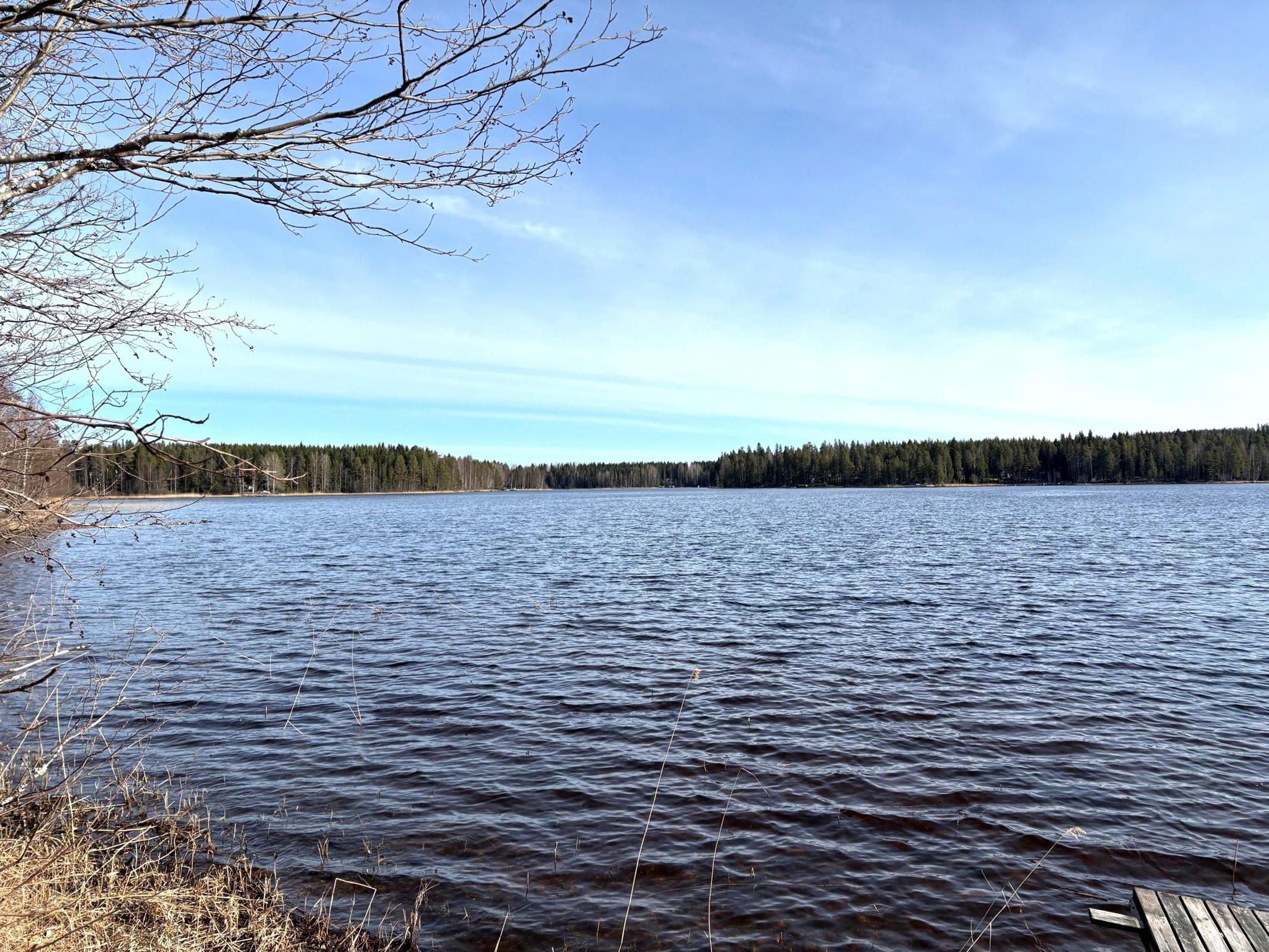 maisema Kaltinselälle