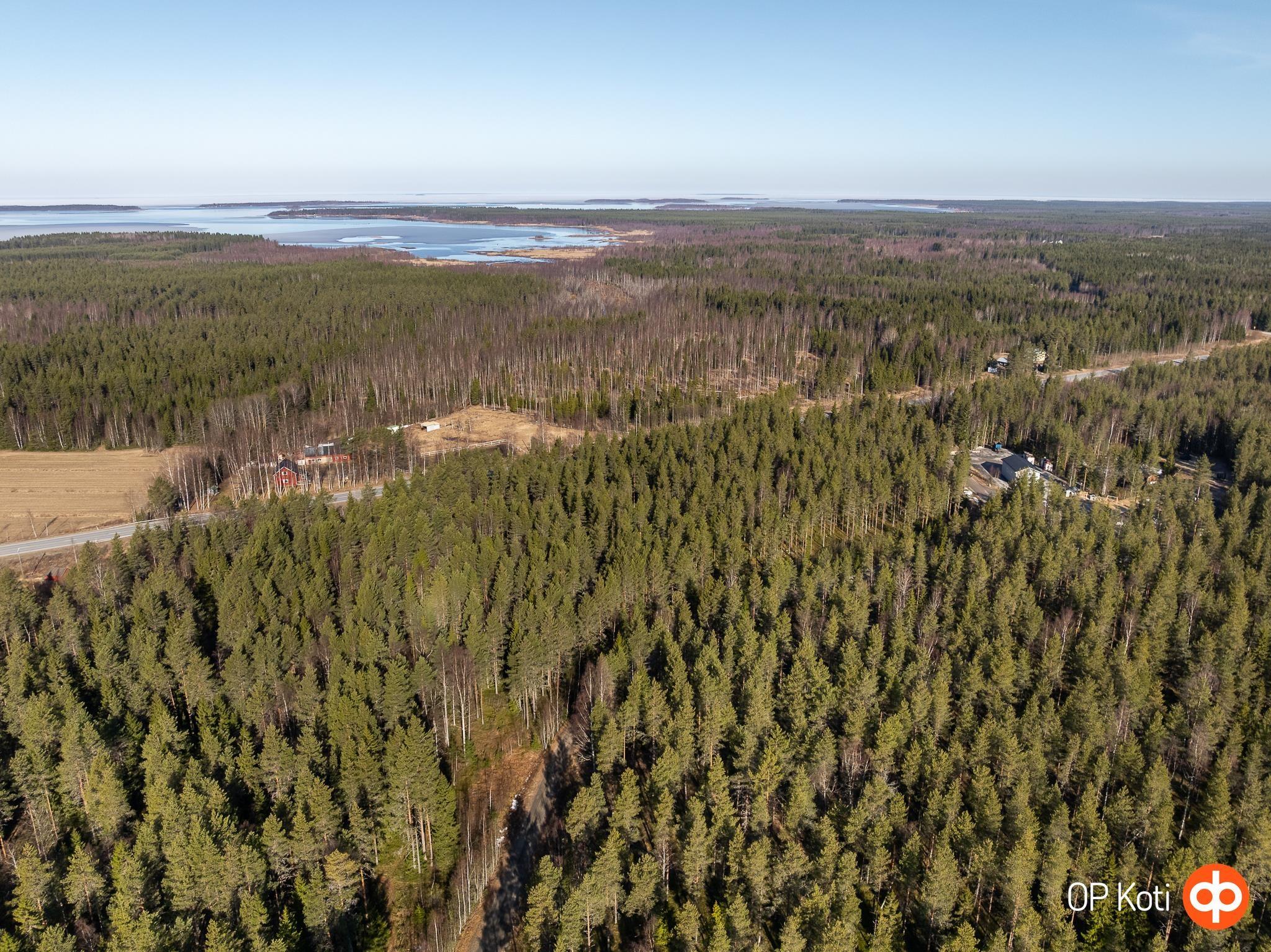 Kohdekuva 9