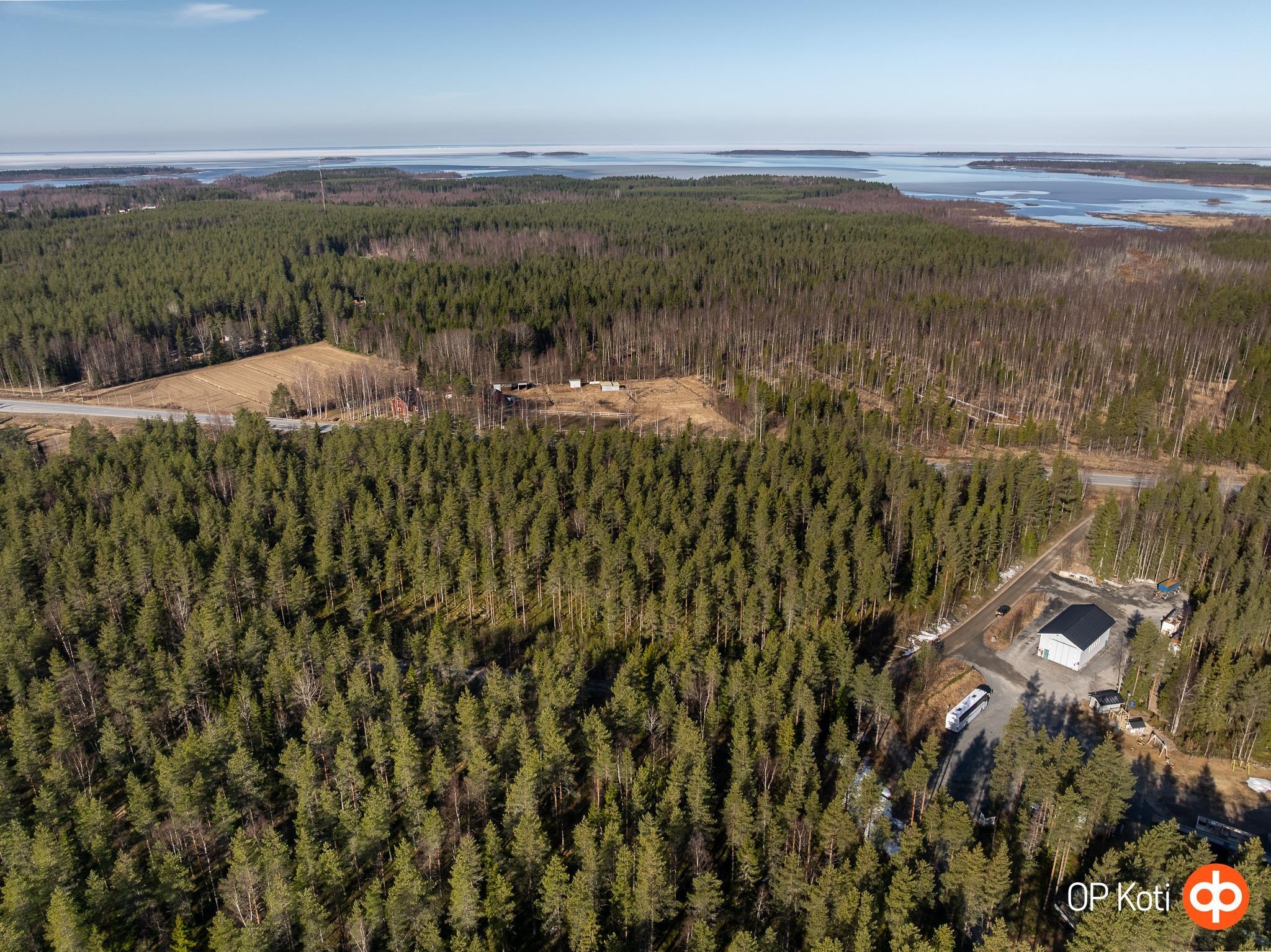 Kohdekuva 8
