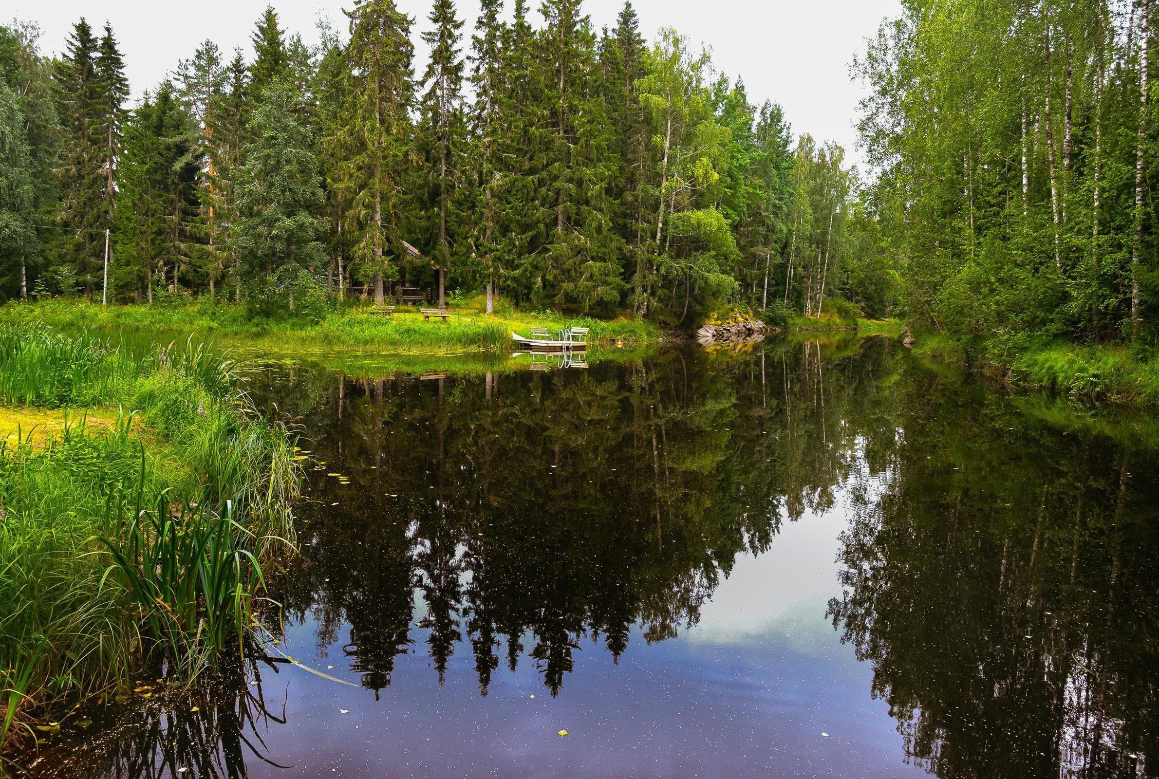 Kohdekuva 36