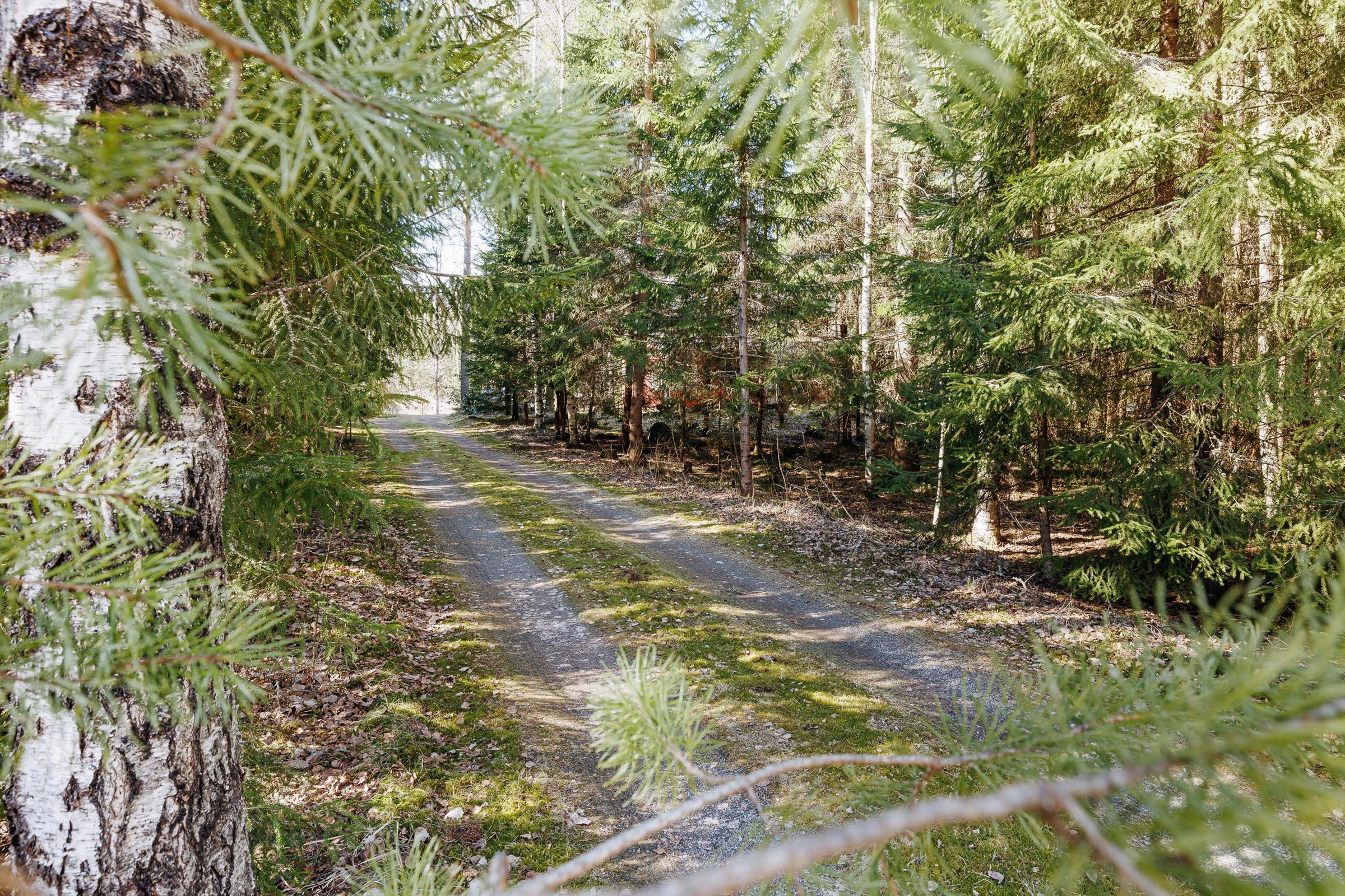 Kohdekuva 22