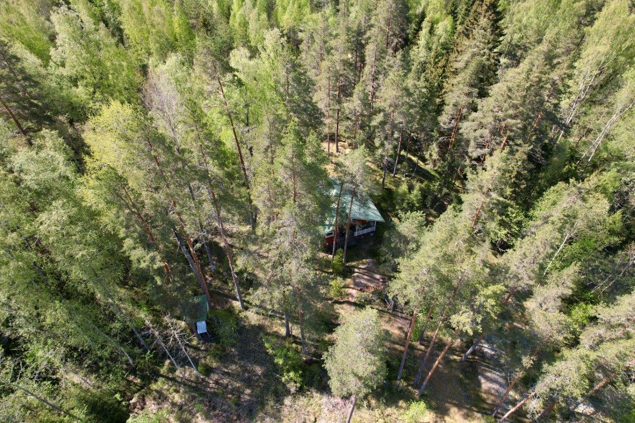 Kohdekuva 13