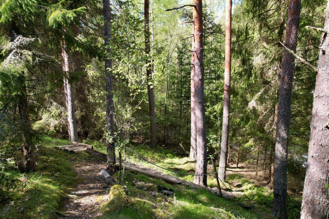 Kohdekuva 15