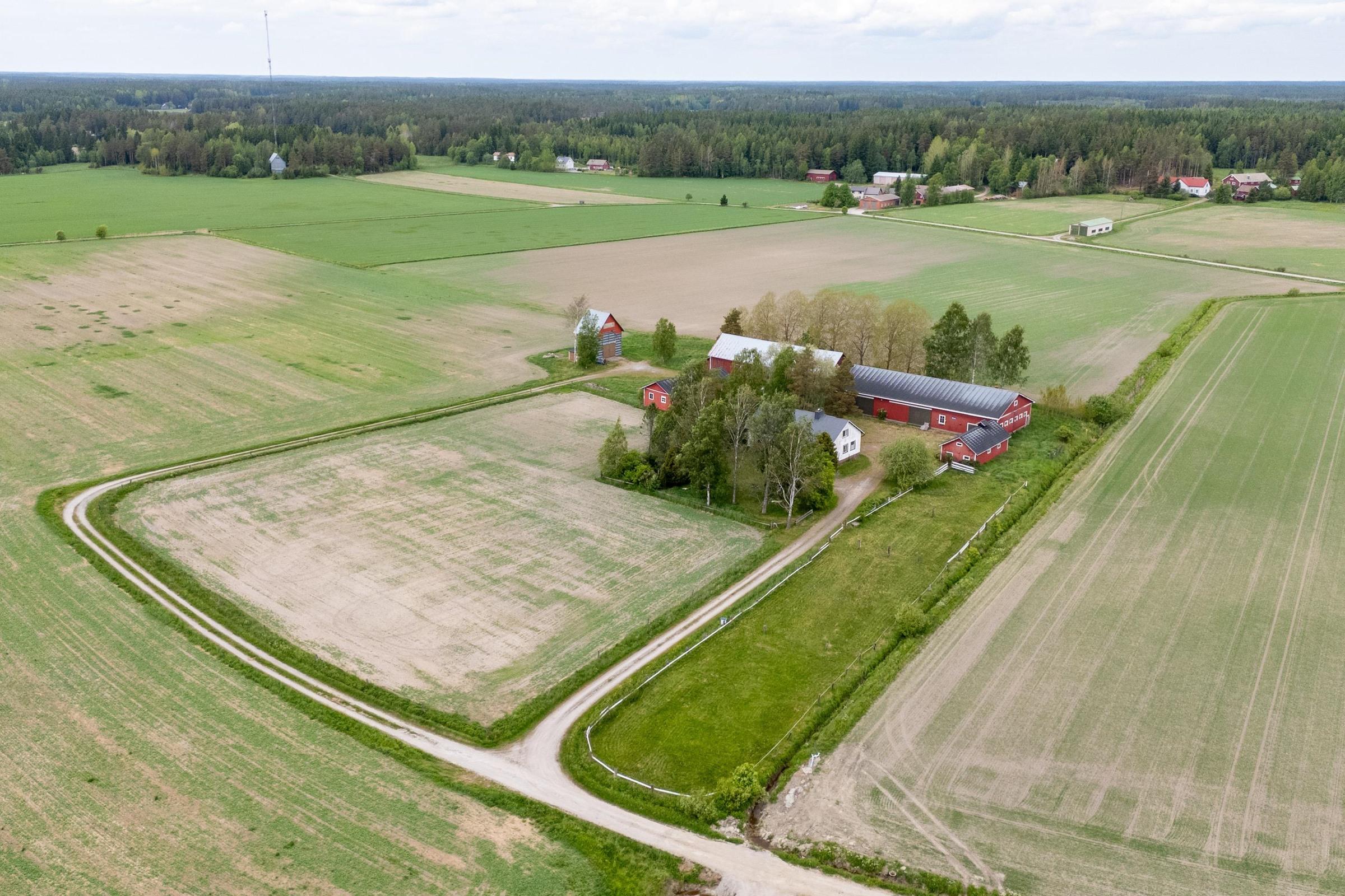 Kohdekuva 53