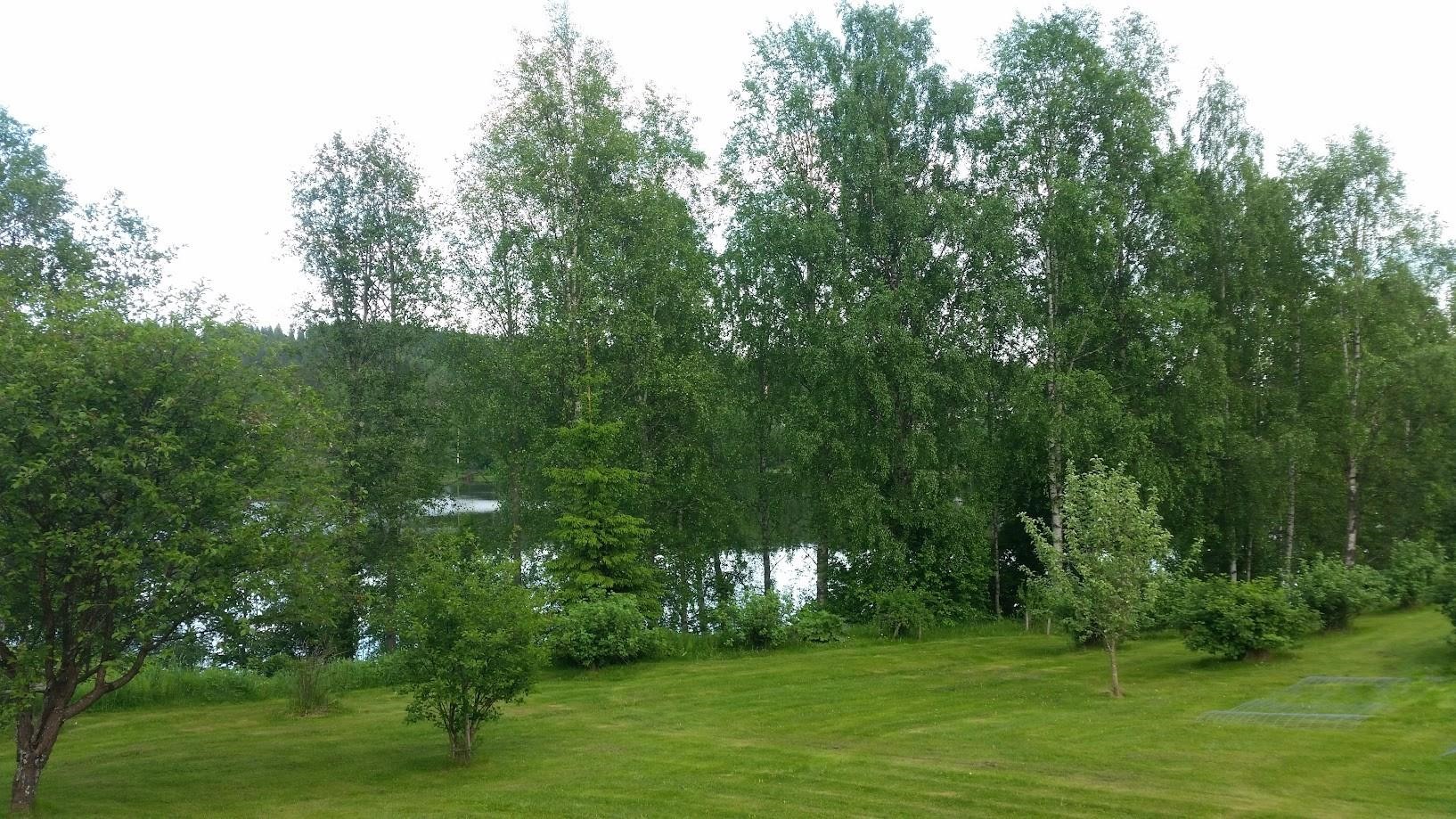 Kohdekuva 27