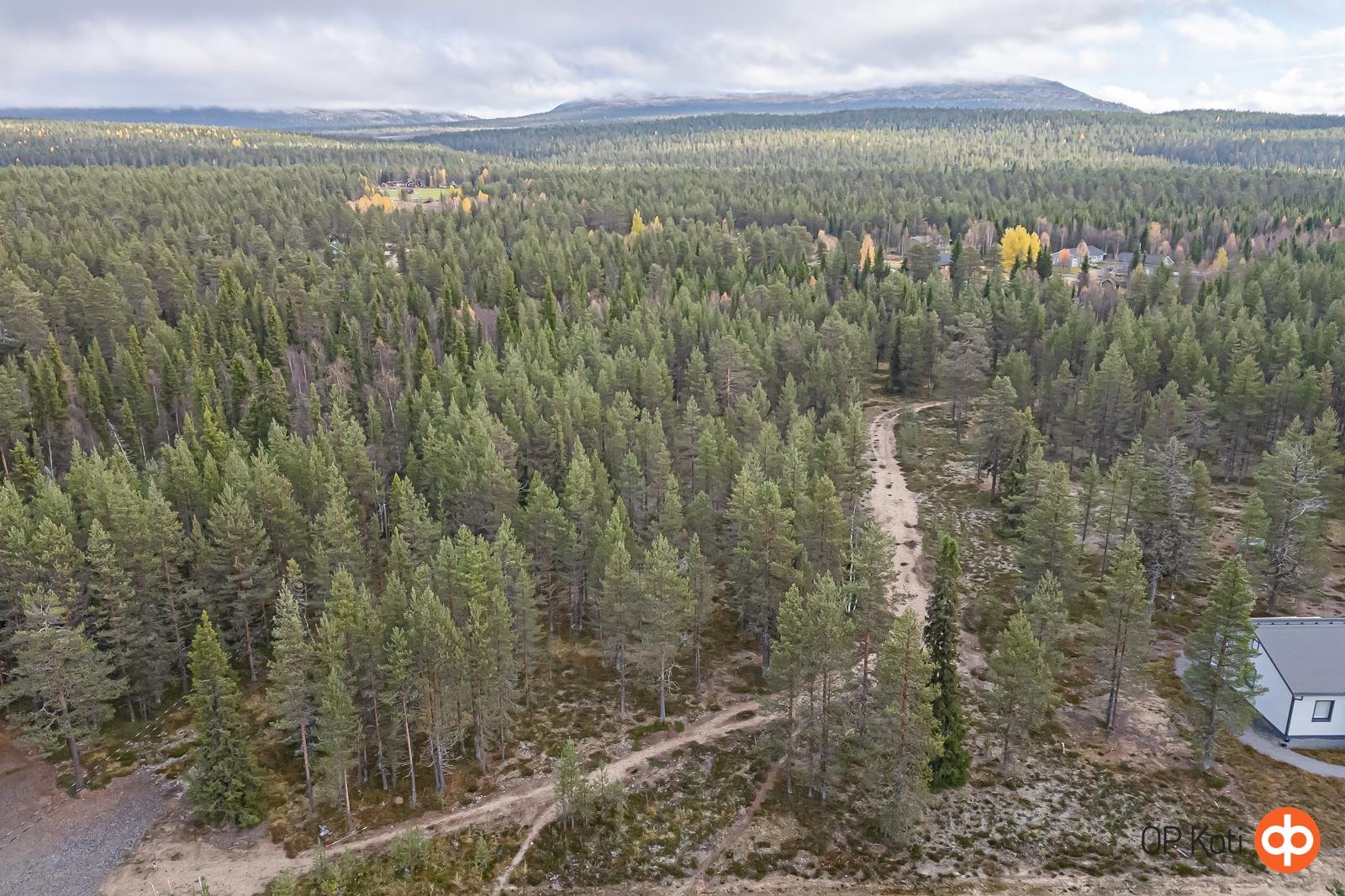 Kohdekuva 11