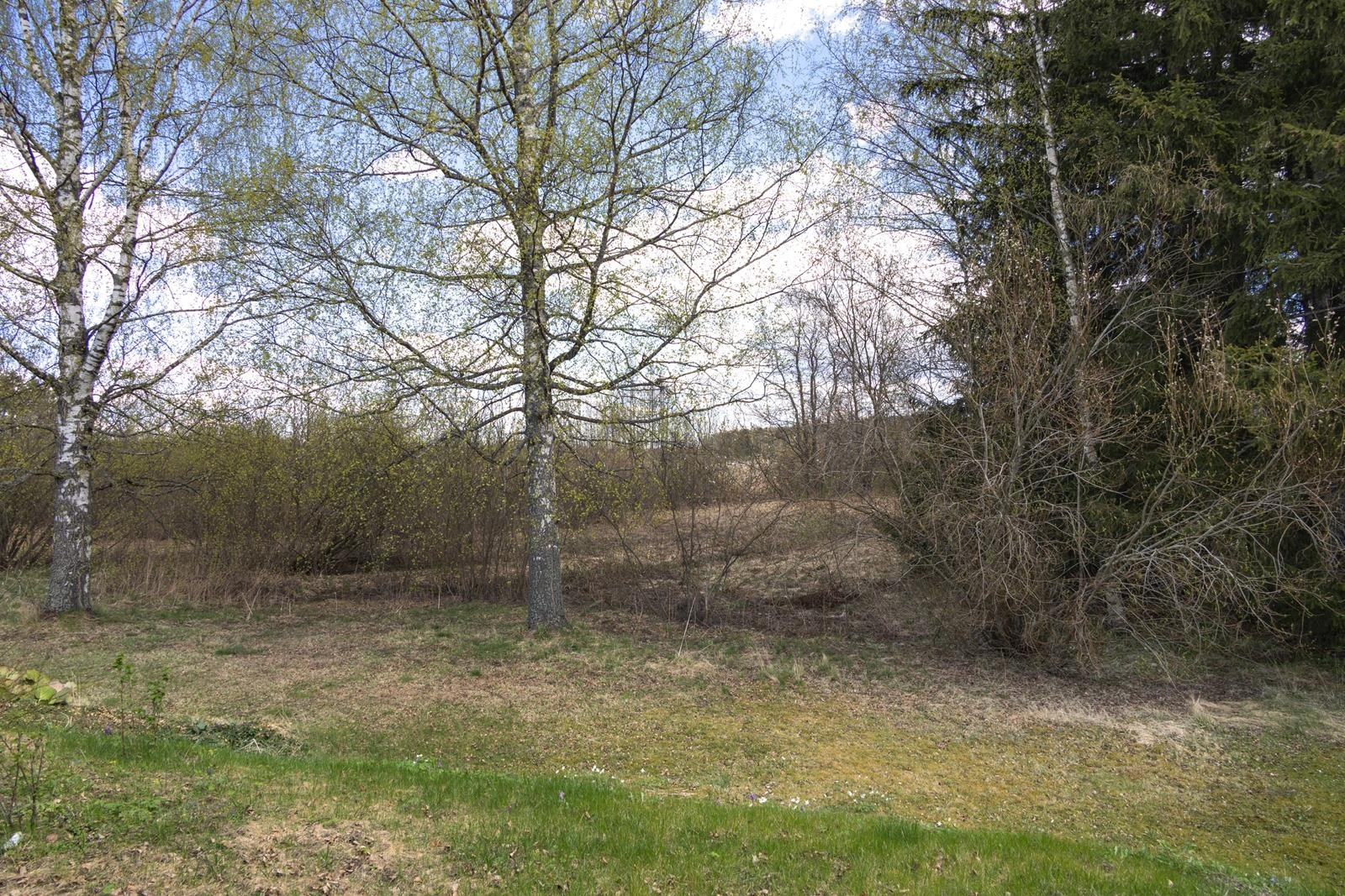 Kohdekuva 6