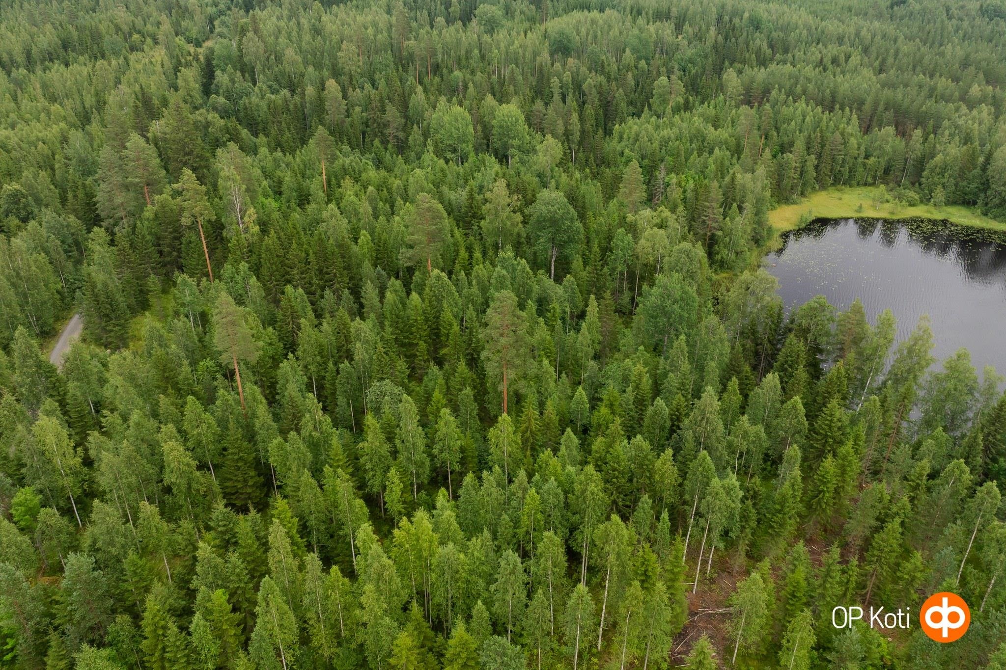 Kohdekuva 6