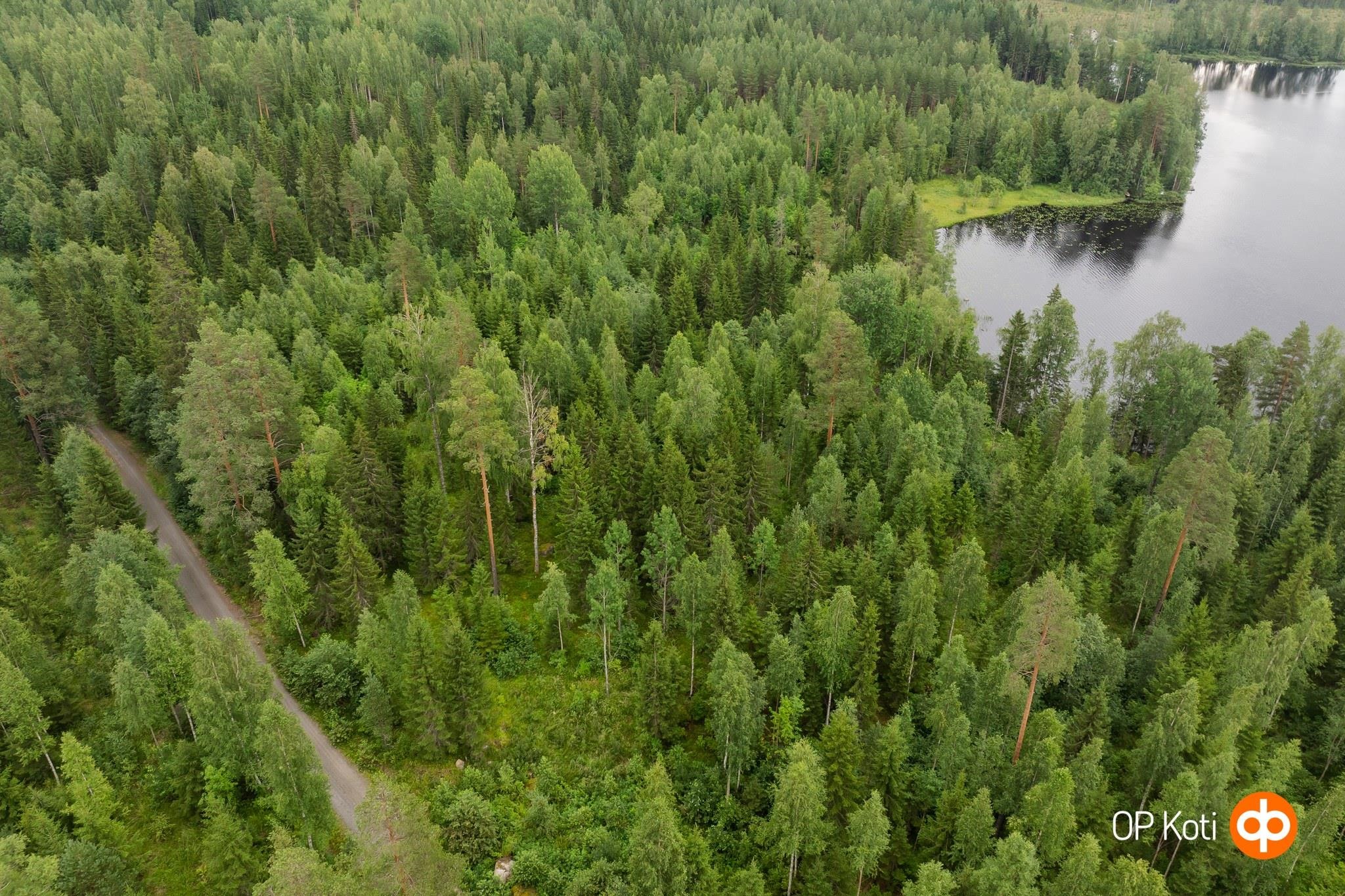 Kohdekuva 5