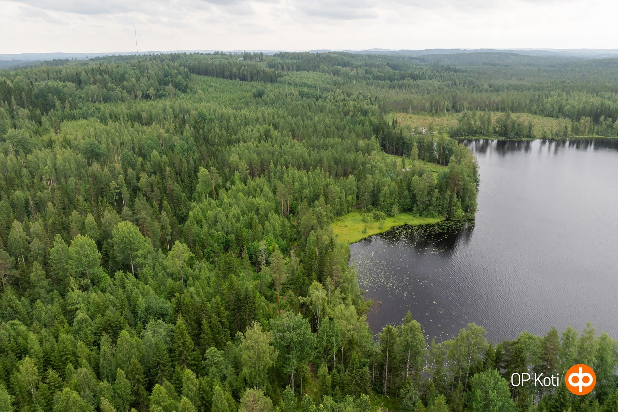 Kohdekuva 1