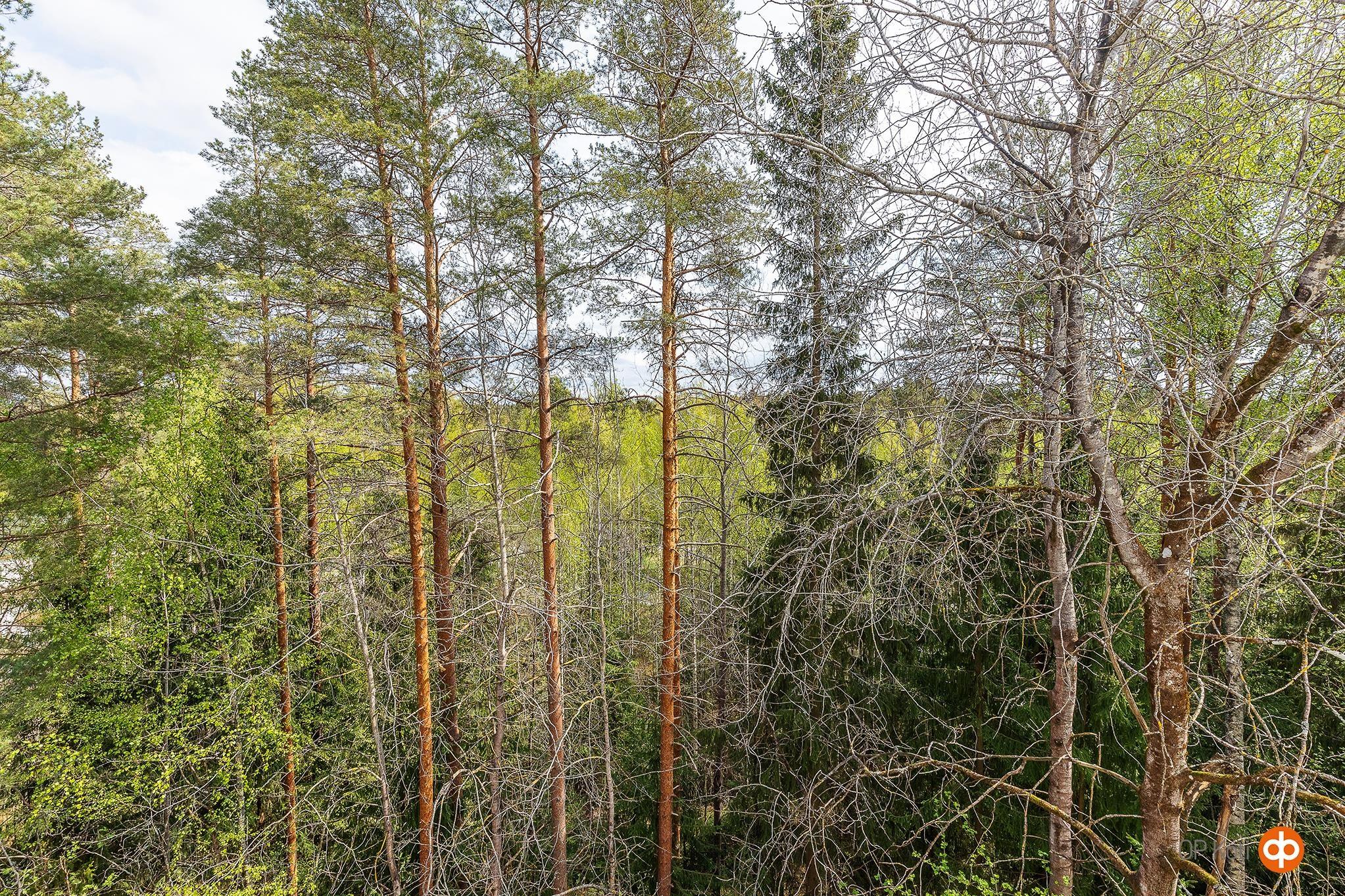 Kohdekuva 4