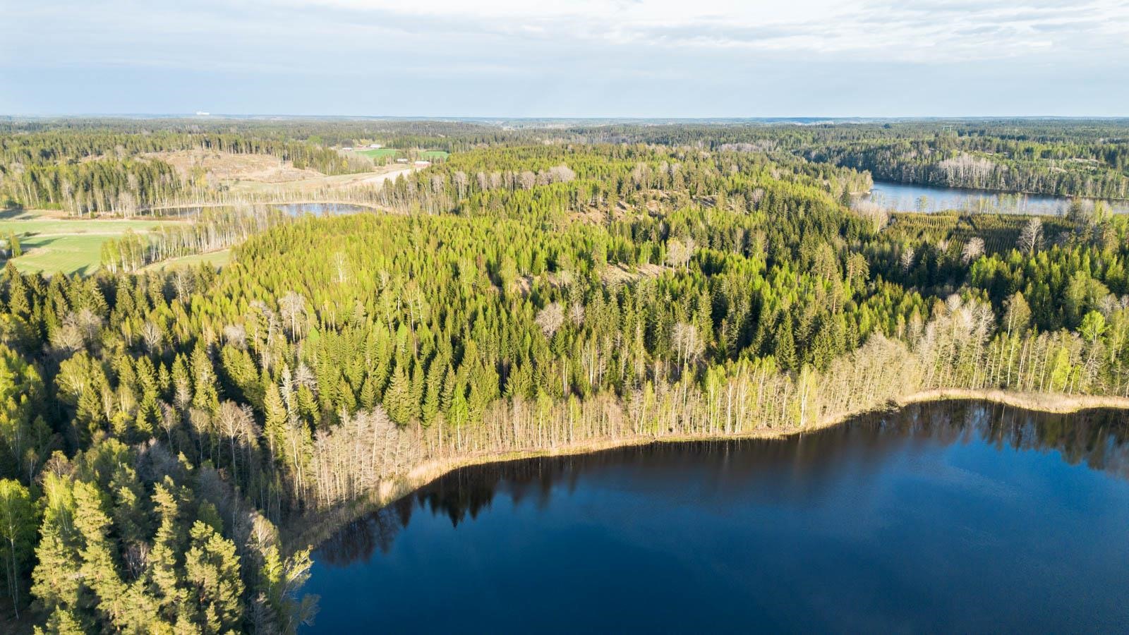 Kohdekuva 12
