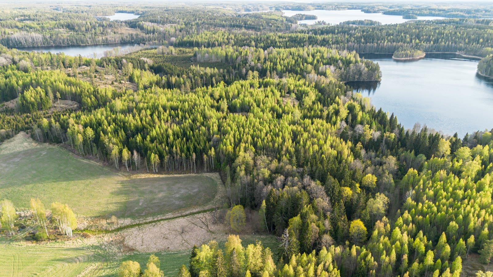Kohdekuva 4