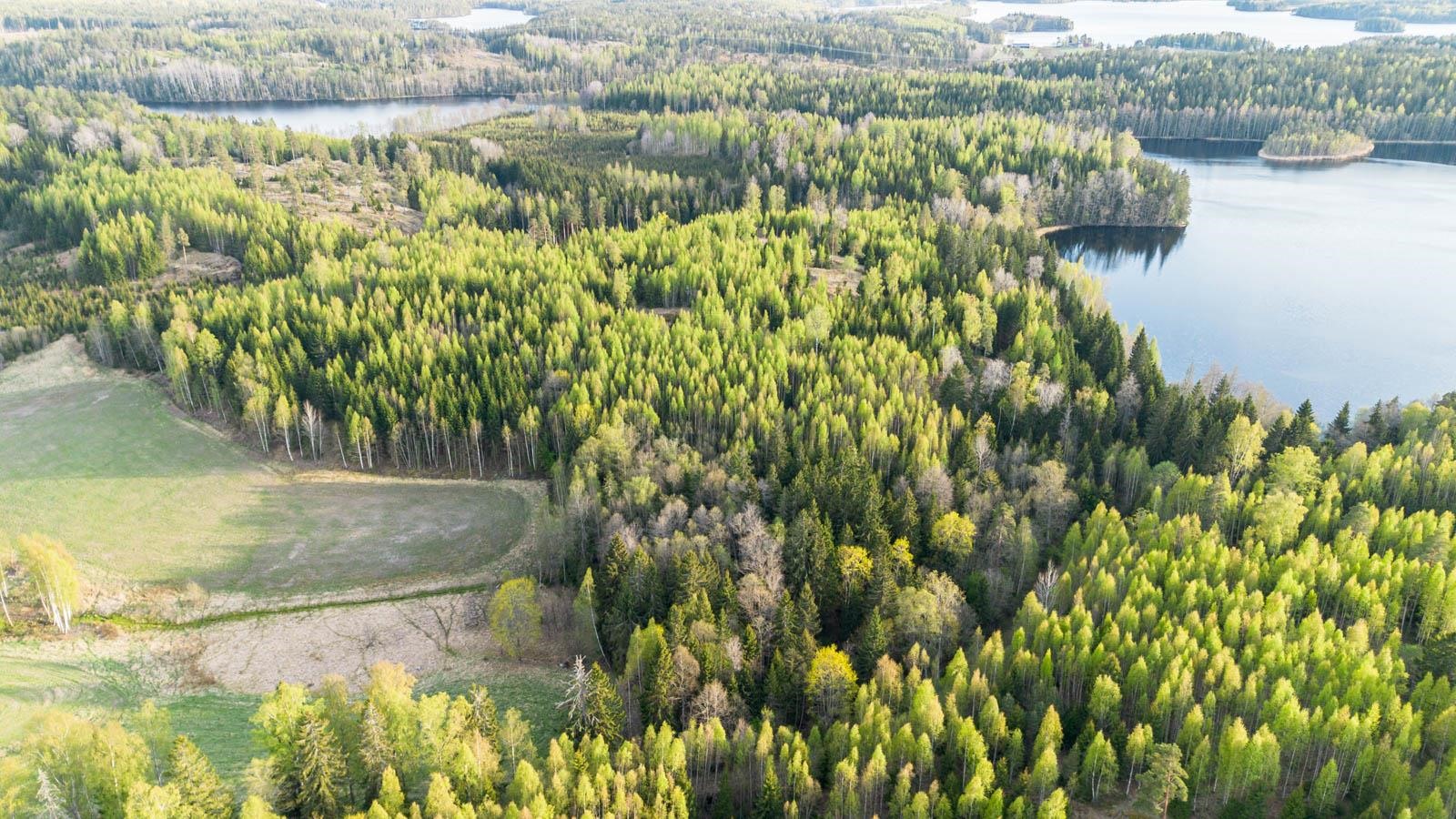 Kohdekuva 6