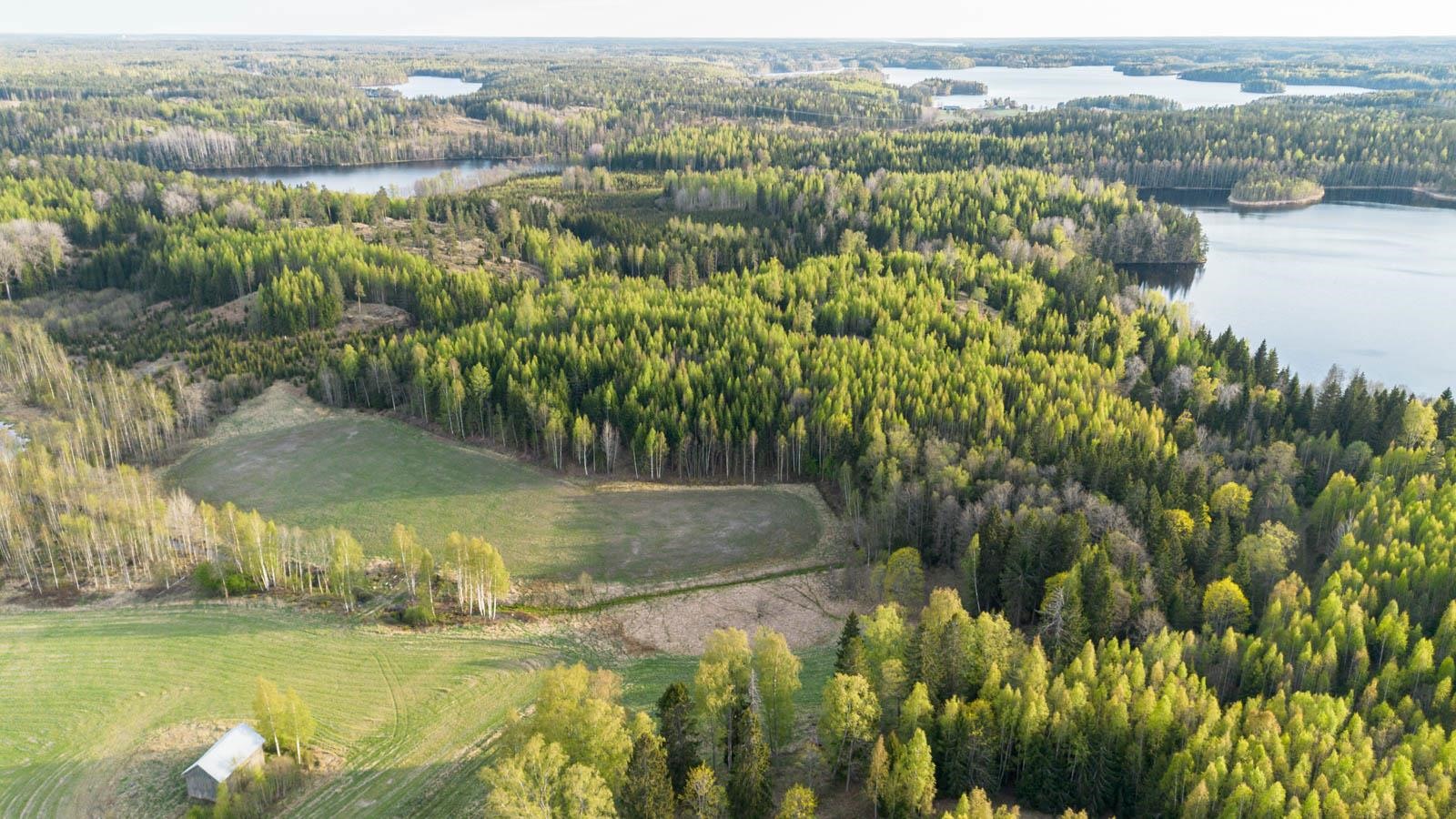 Kohdekuva 7