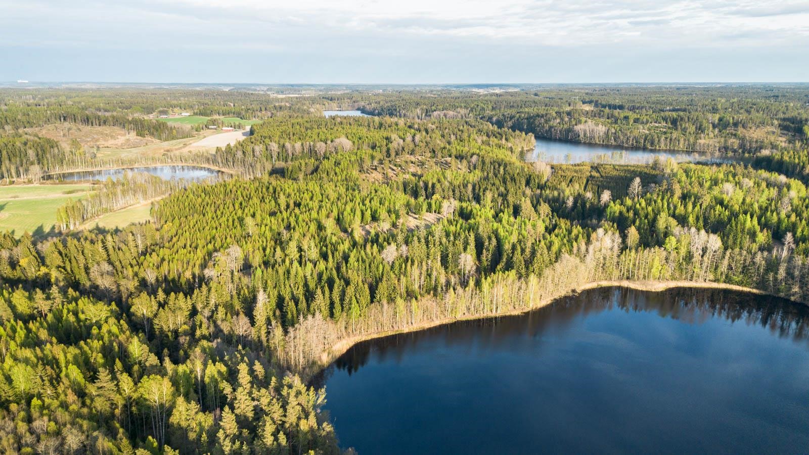 Kohdekuva 10
