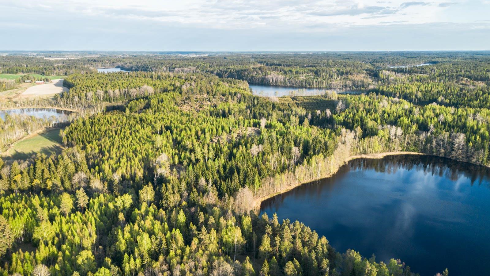 Kohdekuva 11