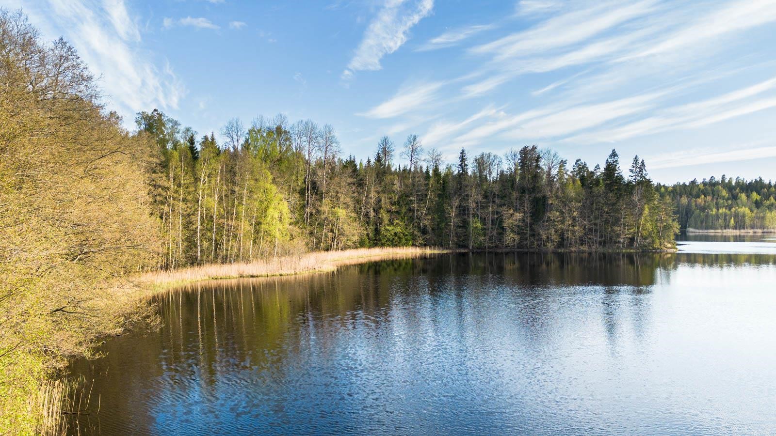 Kohdekuva 17