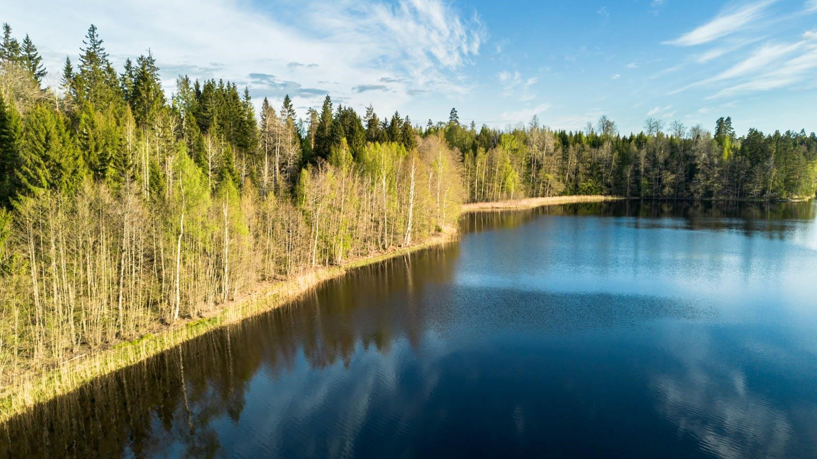 Kohdekuva 14