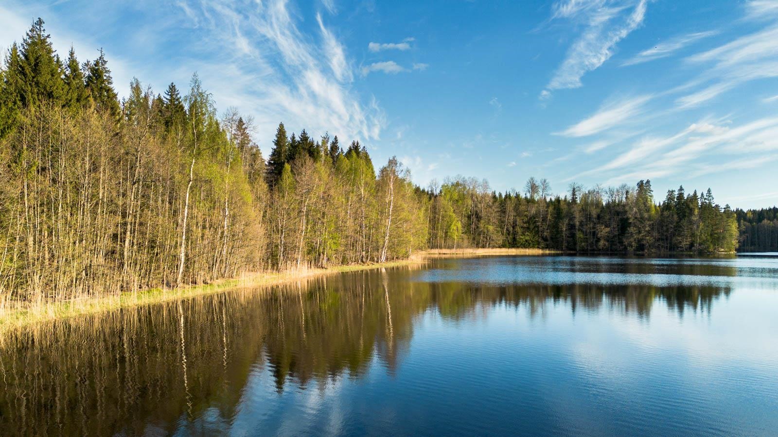 Kohdekuva 15