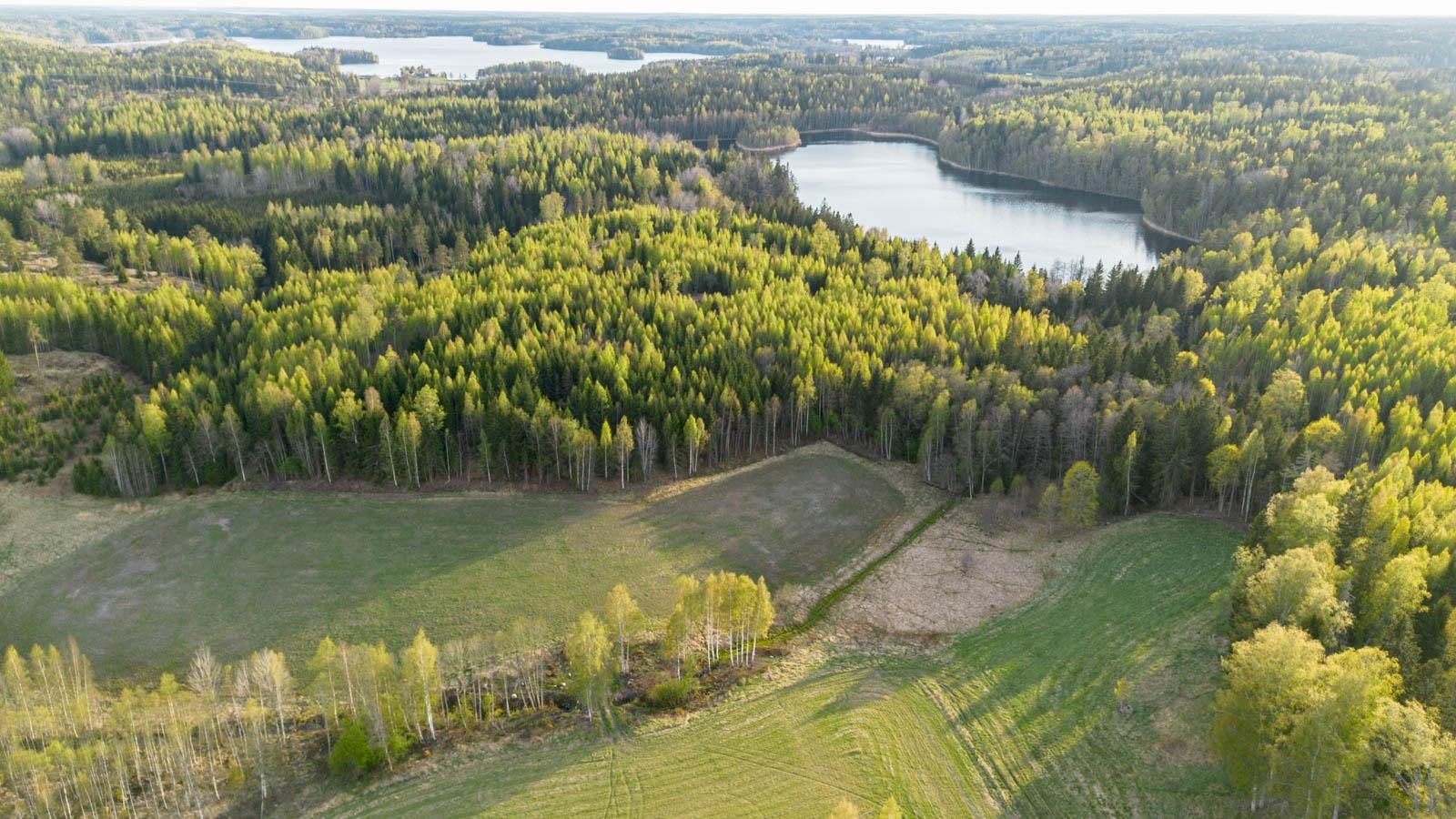 Kohdekuva 9