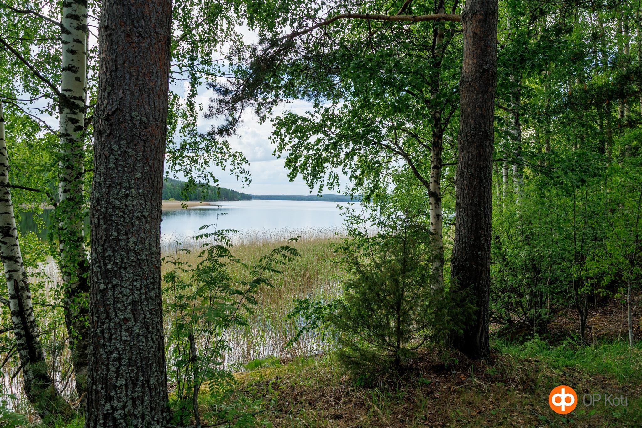 Kohdekuva 3
