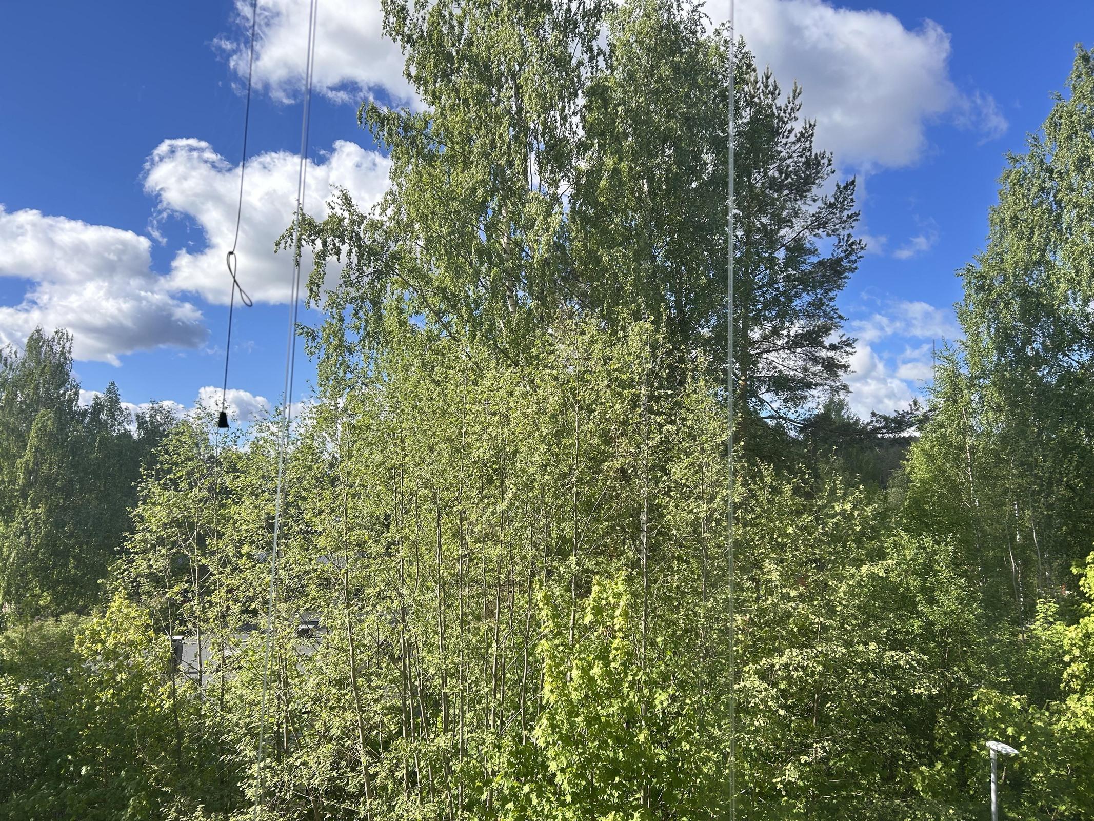 Maisema