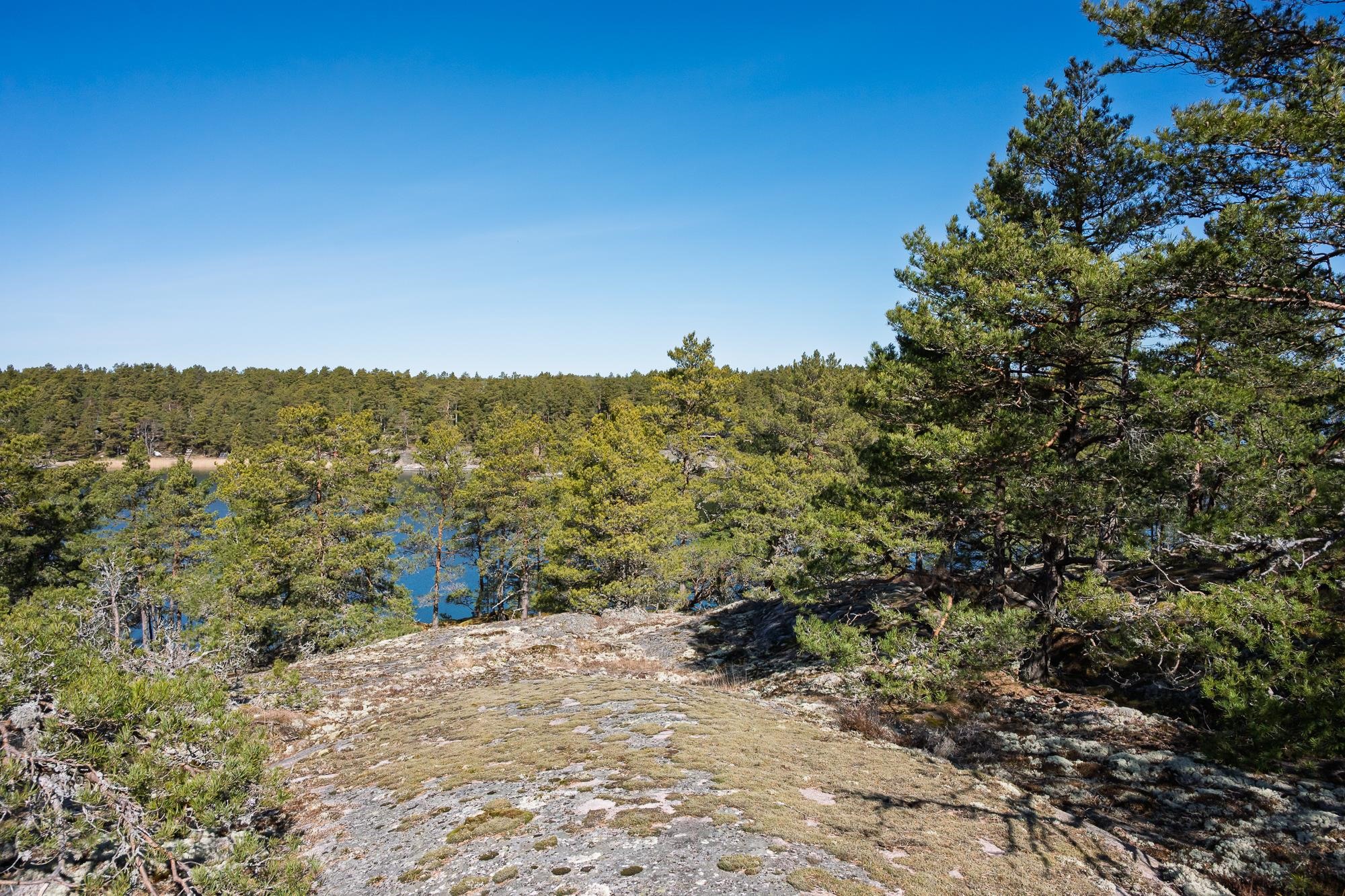 Kohdekuva 14