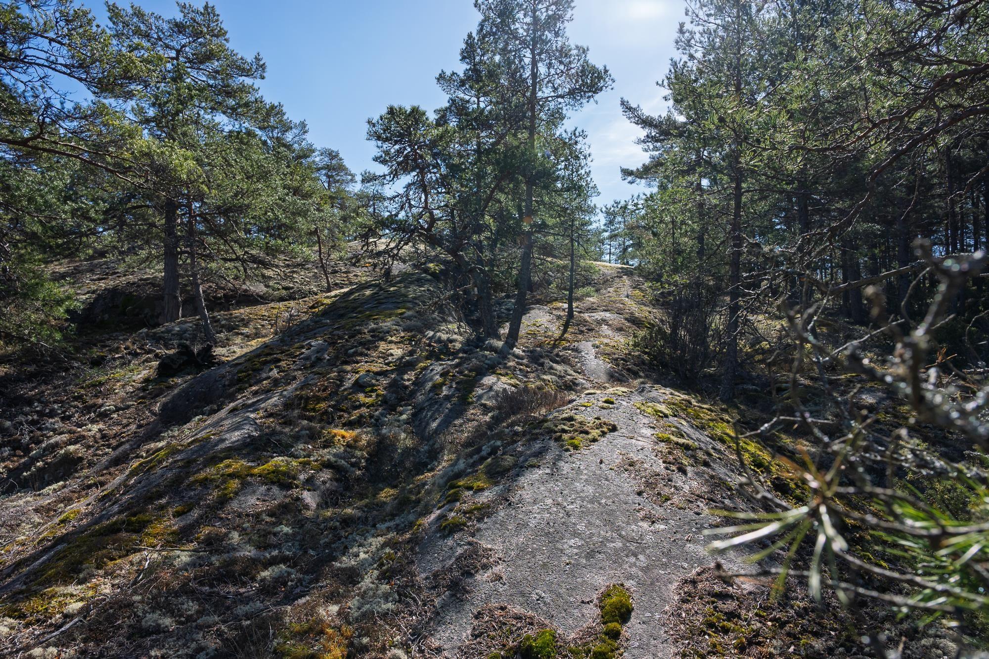 Kohdekuva 15