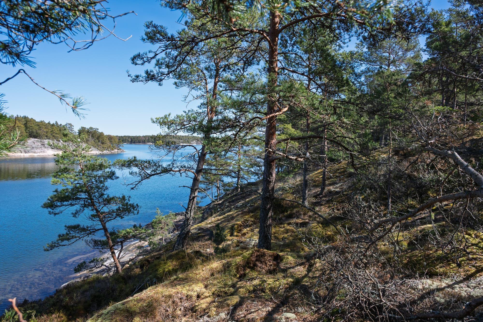 Kohdekuva 7