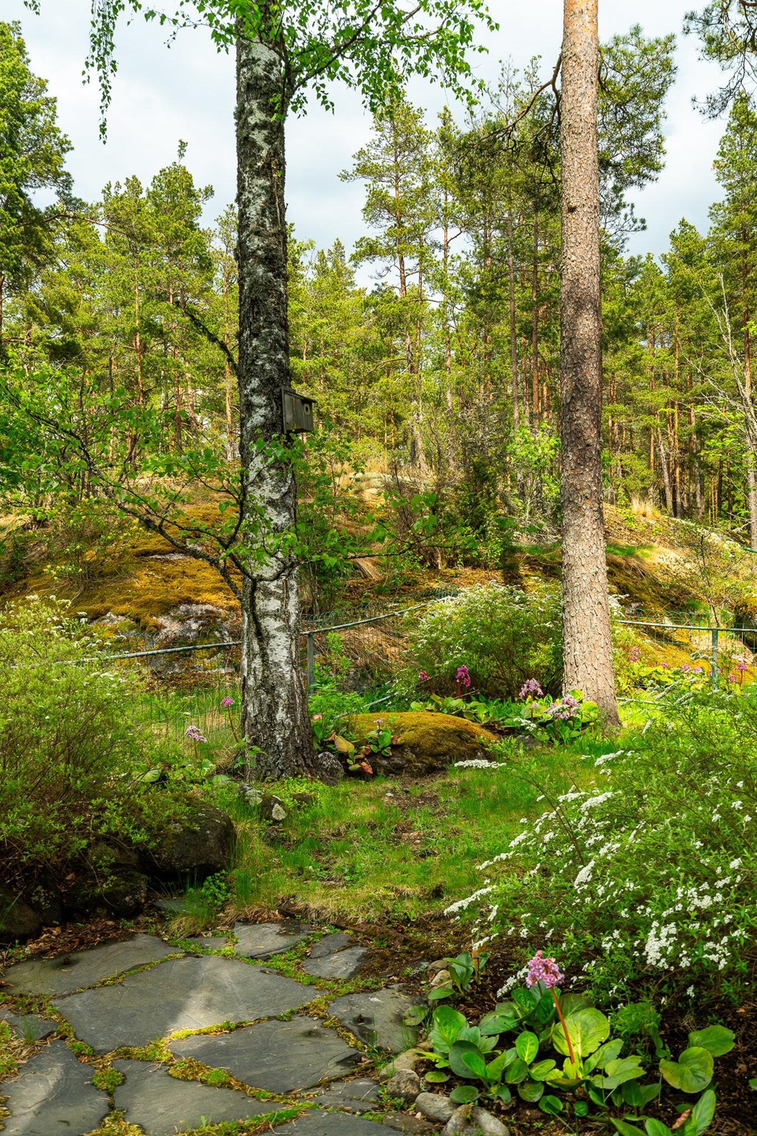 Kohdekuva 37