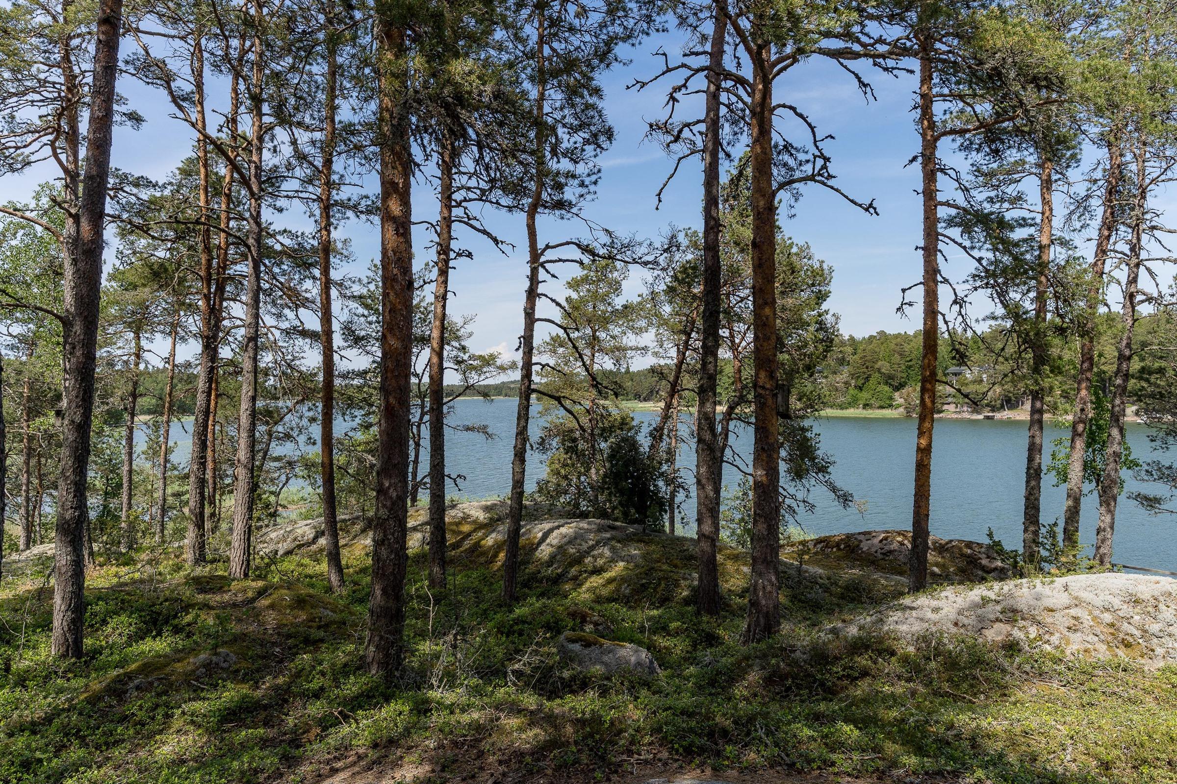 Kohdekuva 6
