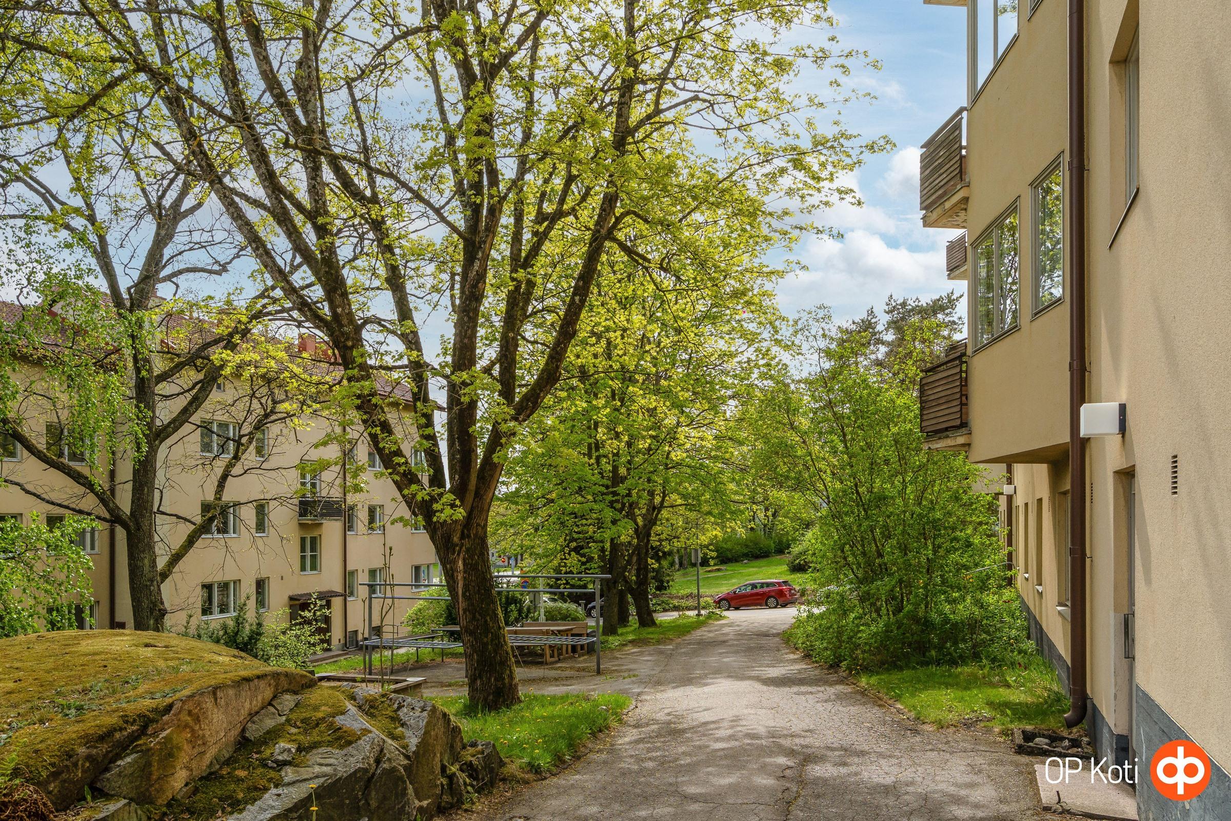 Kohdekuva 11