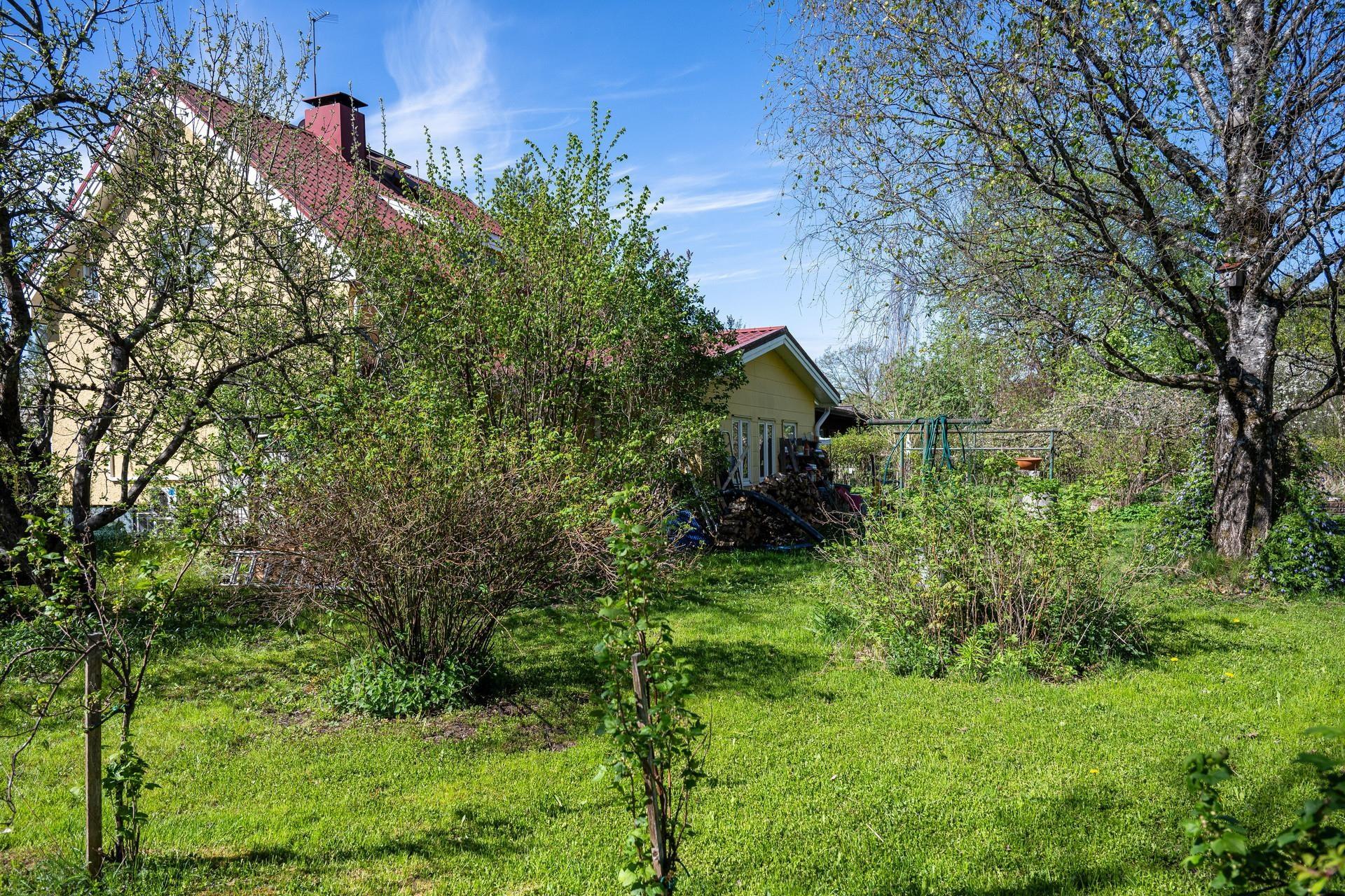 Kohdekuva 29