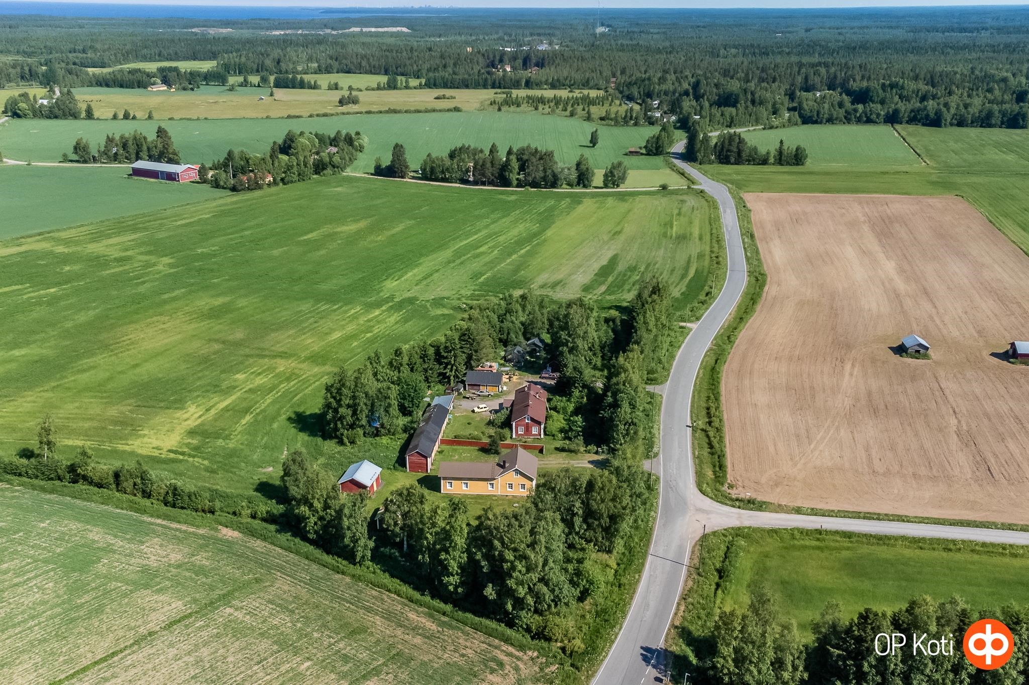 Kohdekuva 36
