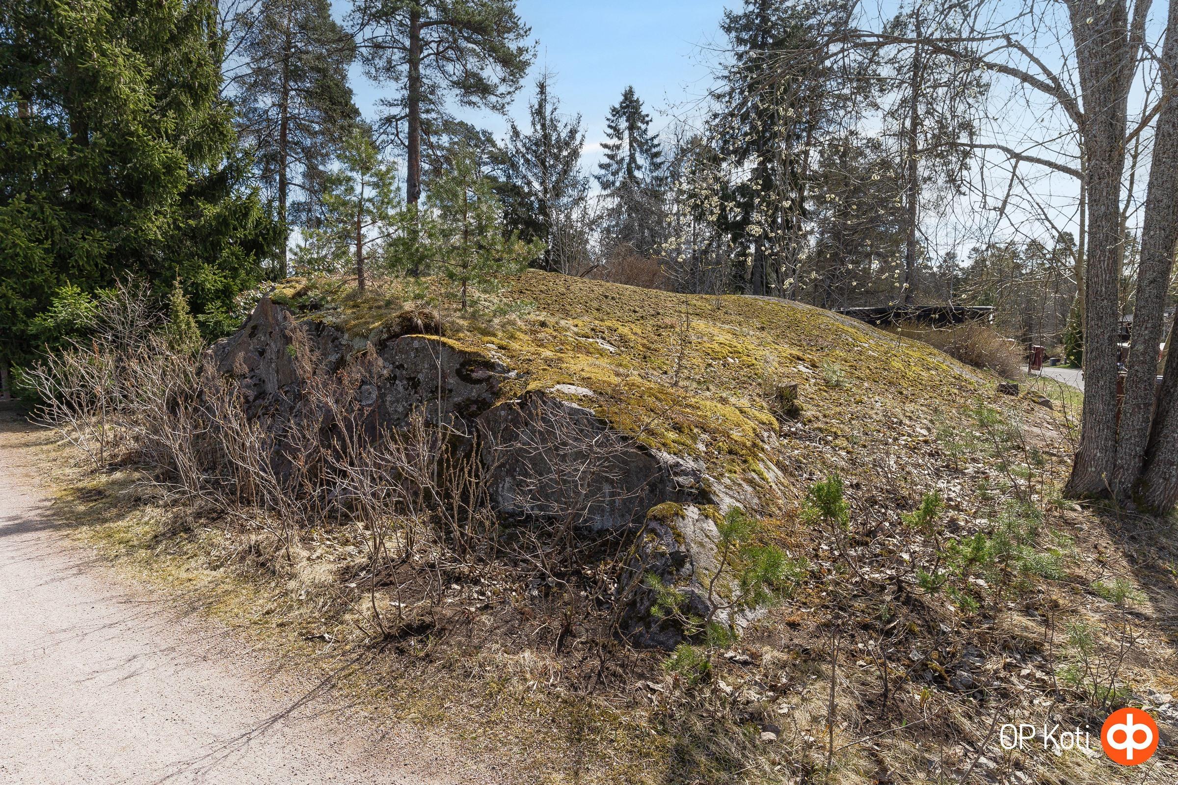 Kohdekuva 8