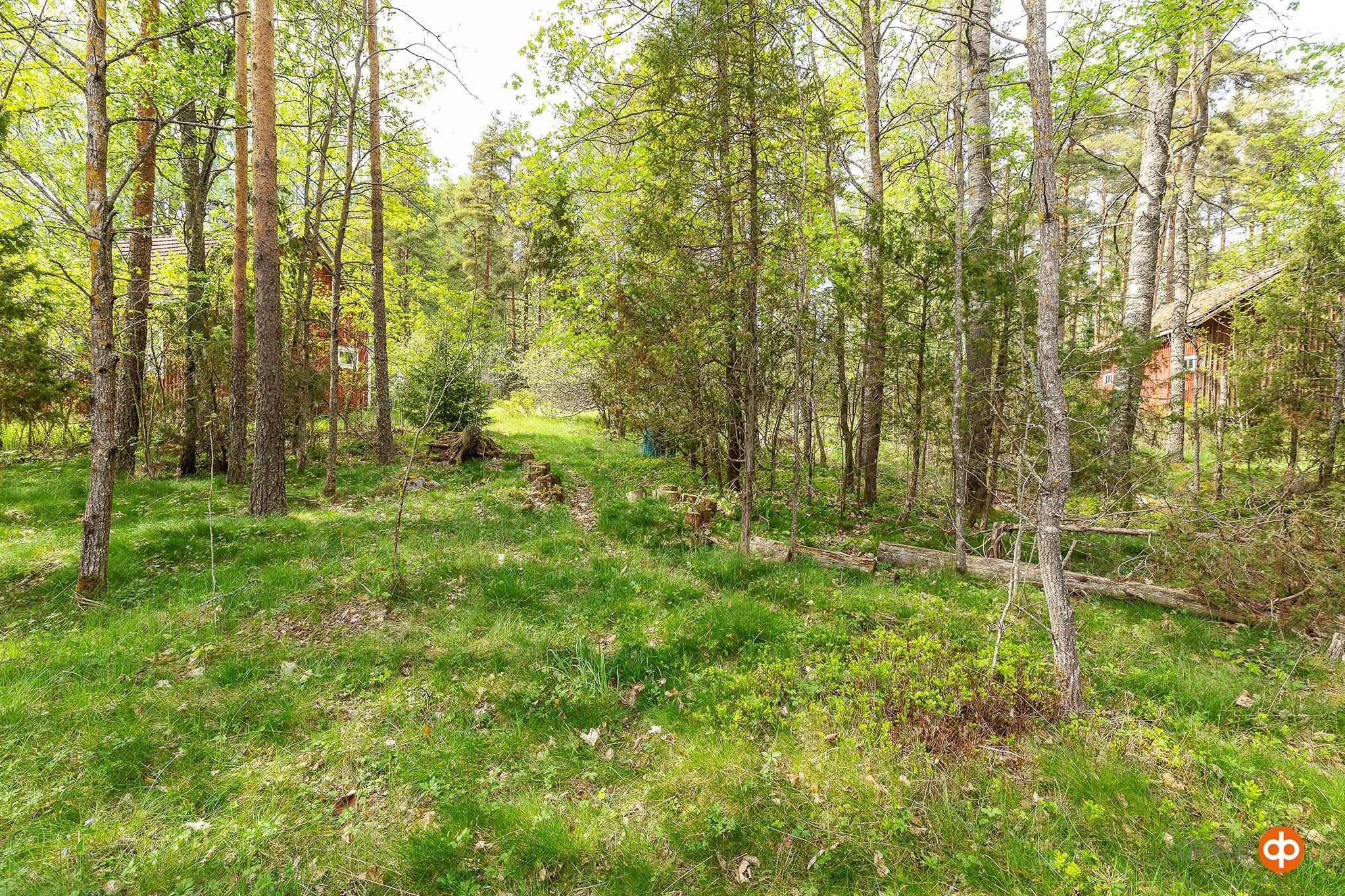 Kohdekuva 26