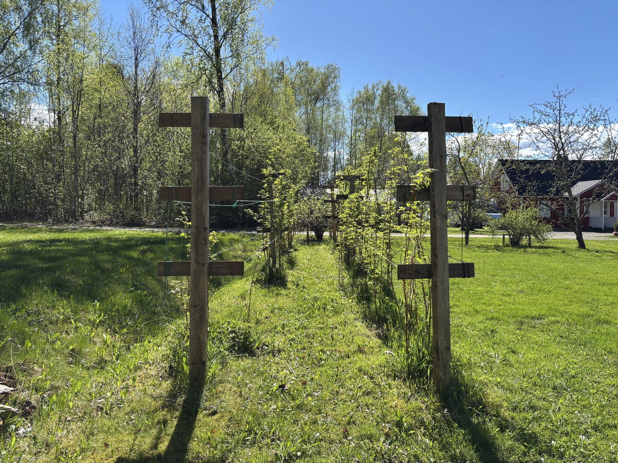 Kohdekuva 69