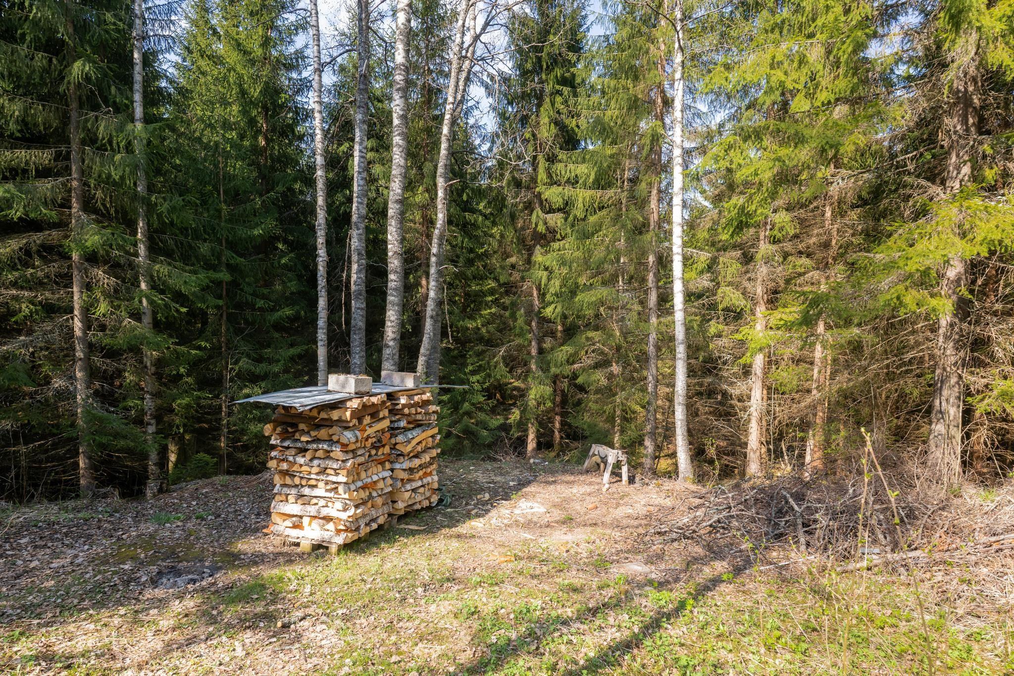 Kohdekuva 29
