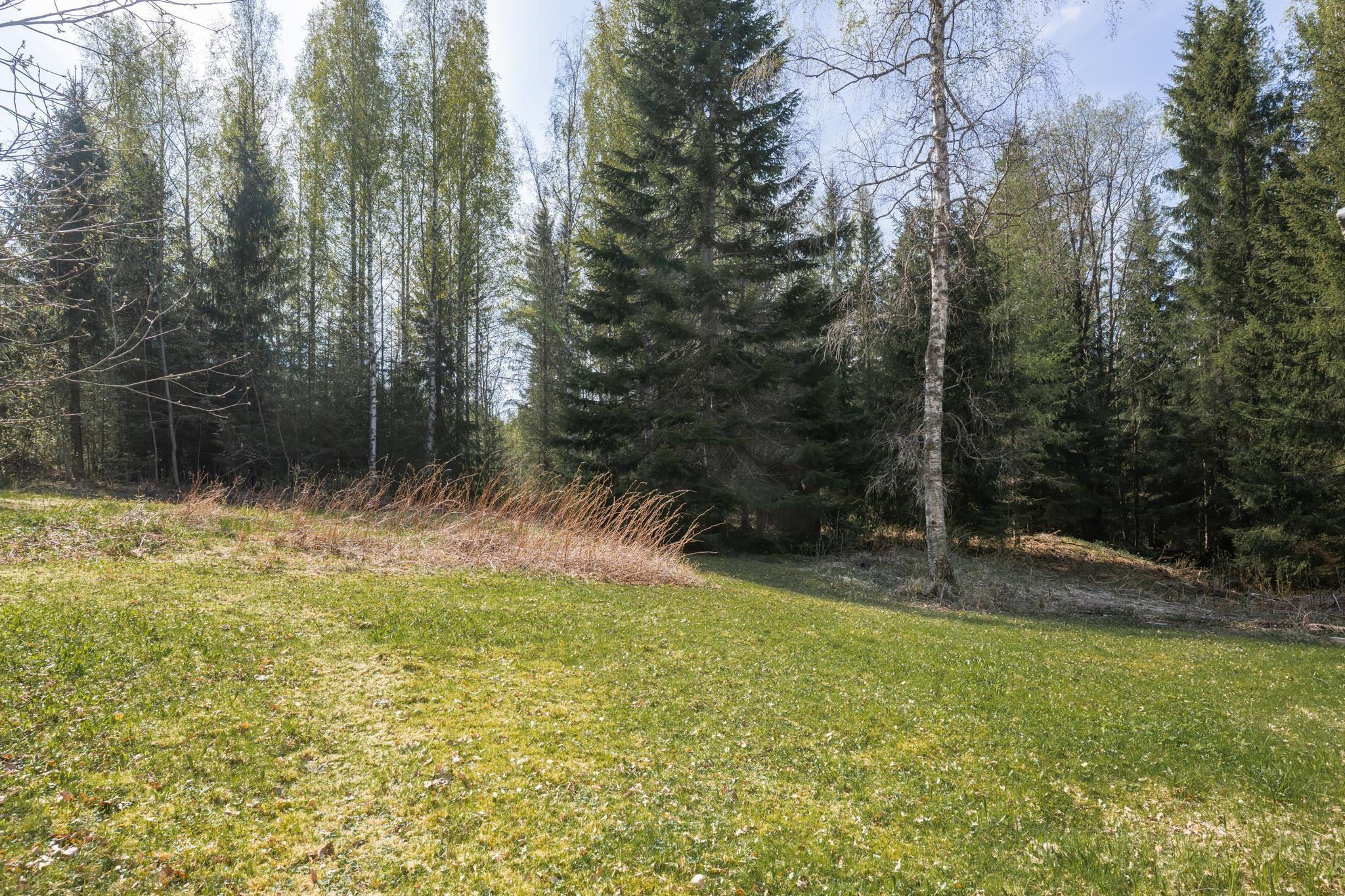 Kohdekuva 33