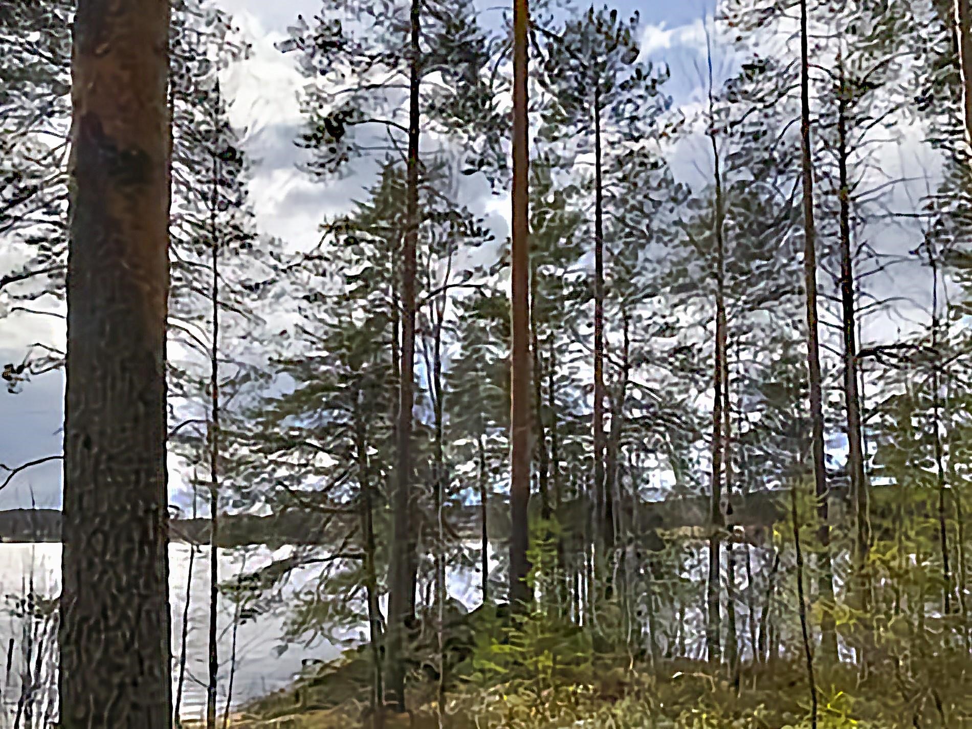 Kohdekuva 2