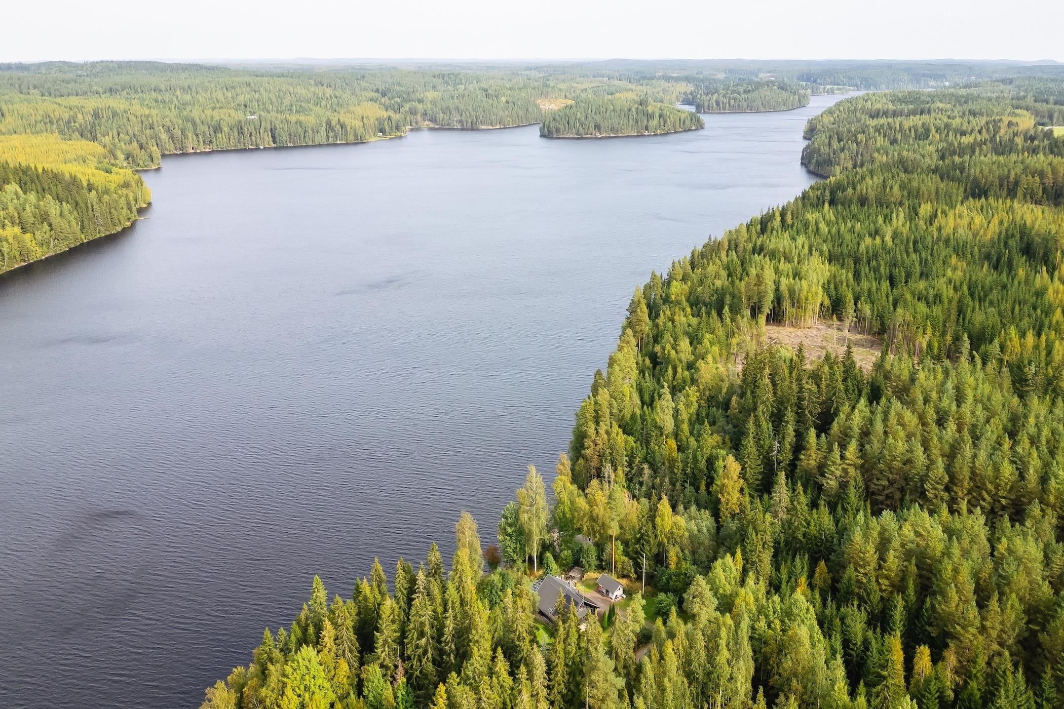 Kohdekuva 41