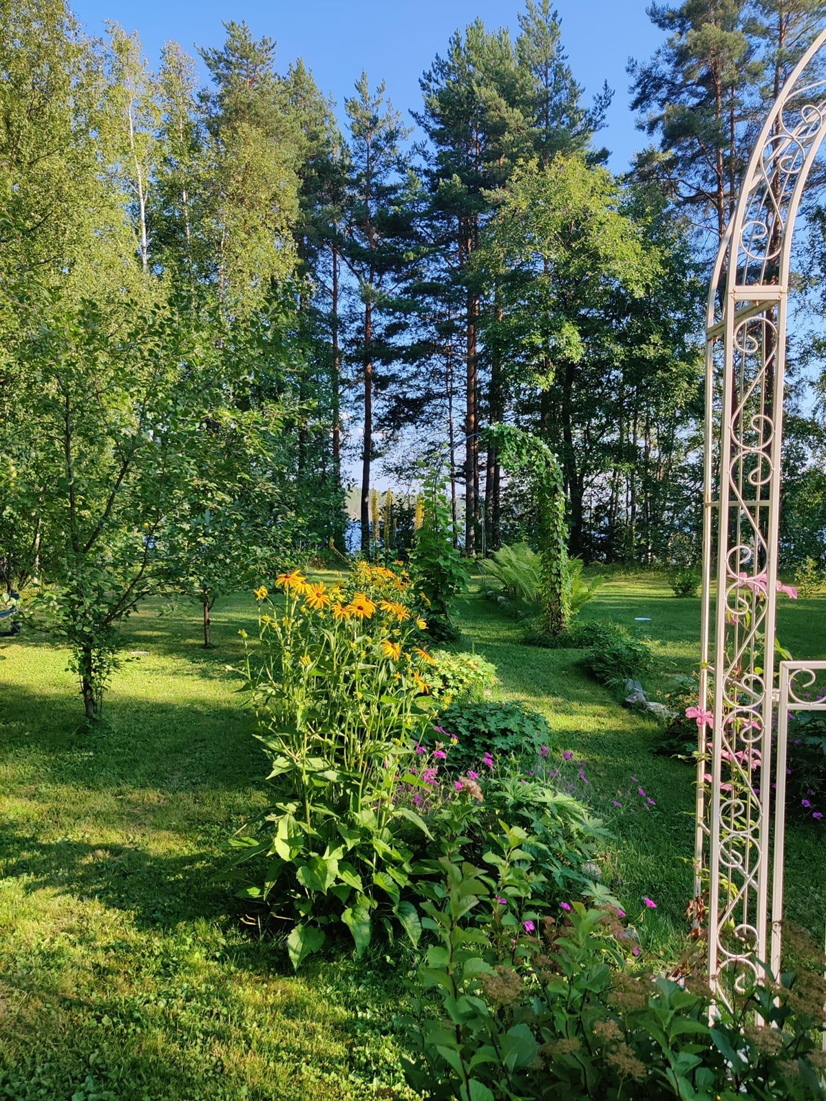 Kohdekuva 46