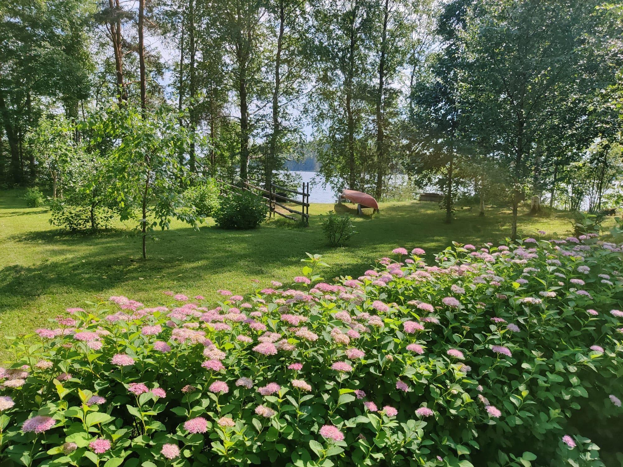 Kohdekuva 44
